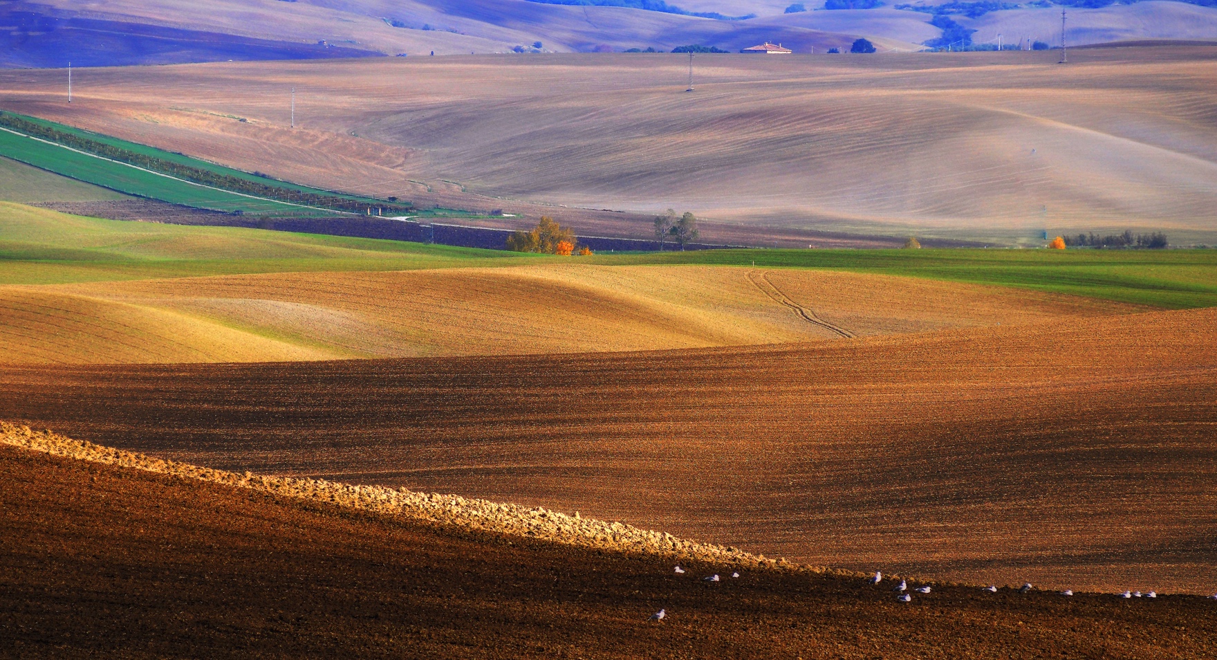 Val d'Orcia