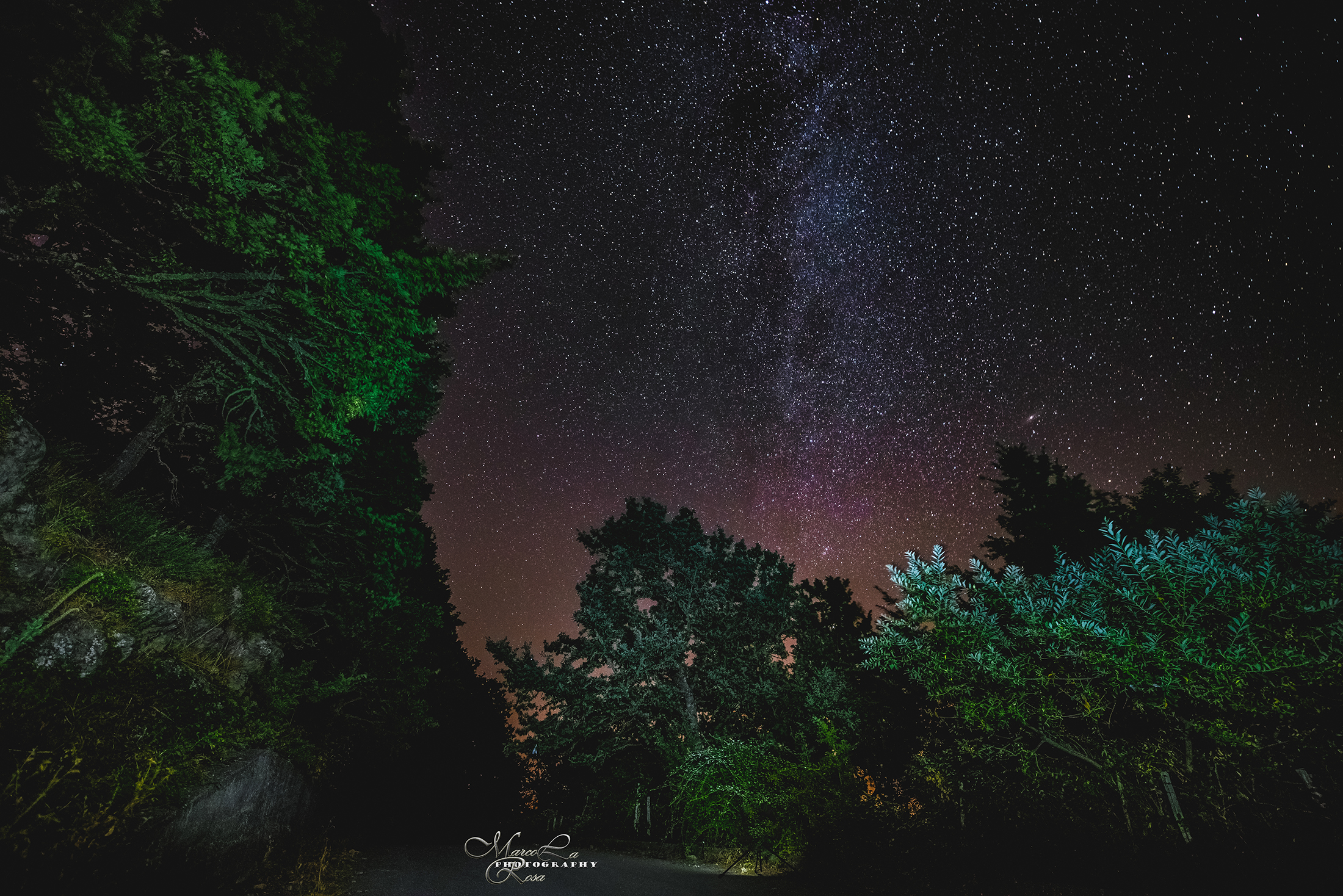 Non siamo soli nell'universo