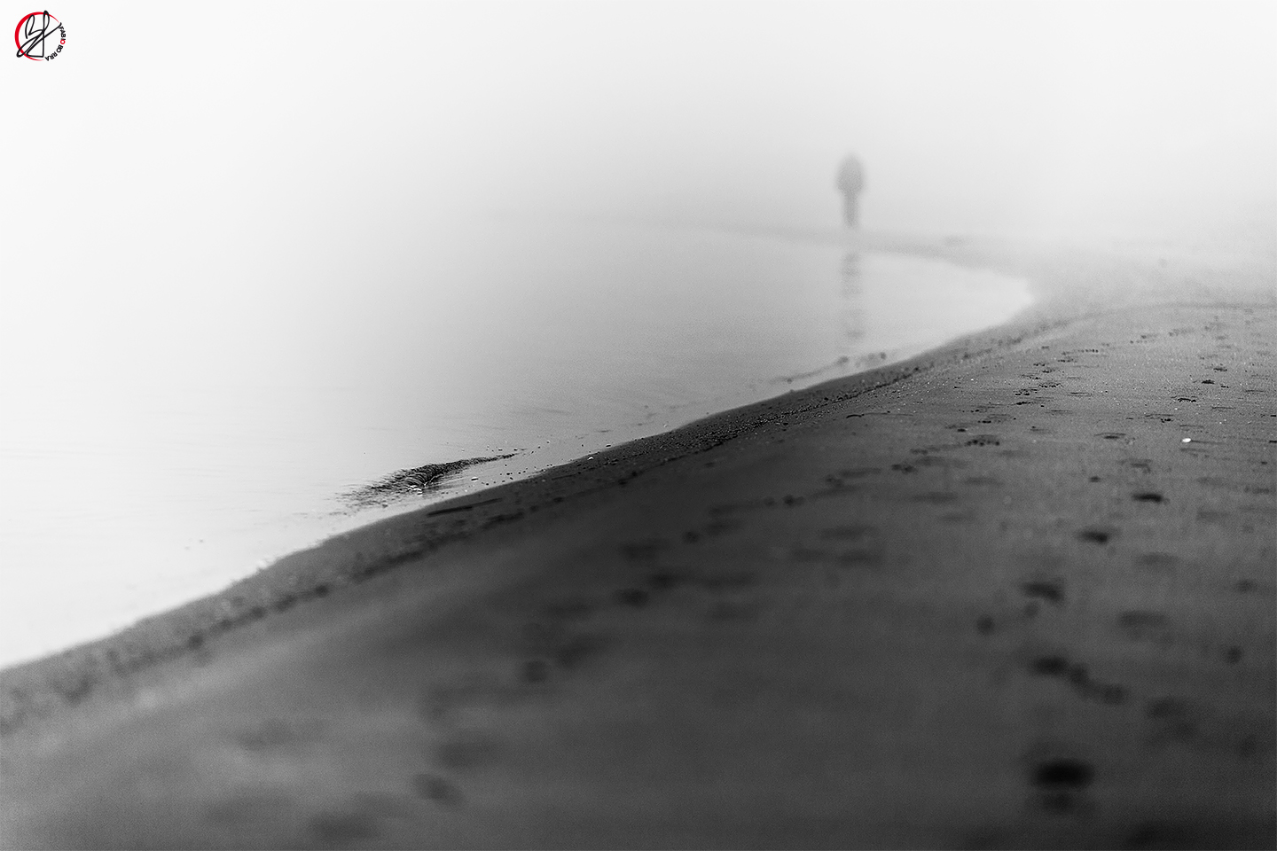 "respiro la nebbia, penso a te"