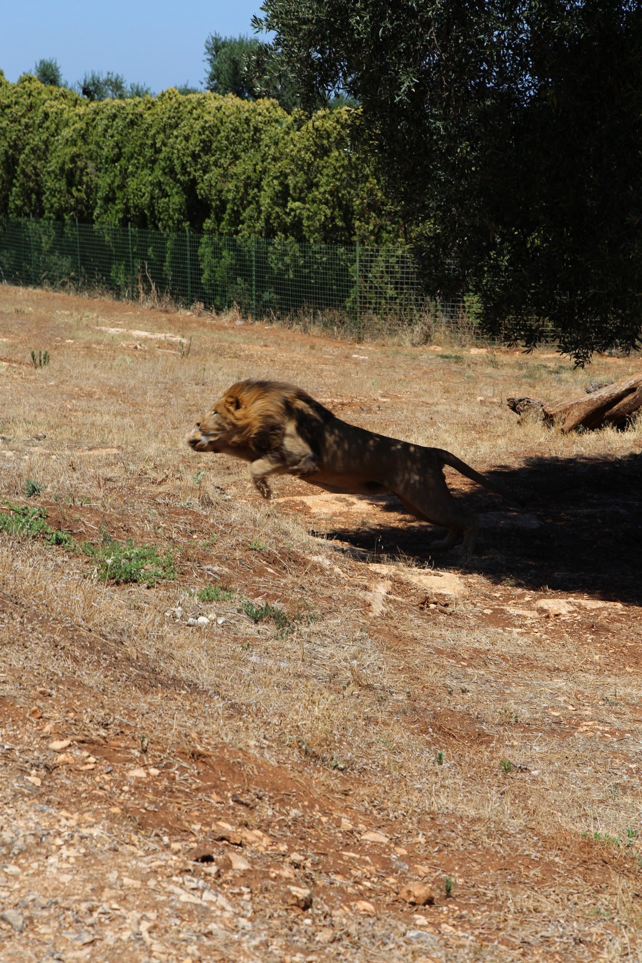 La miglior difesa è l'attacco