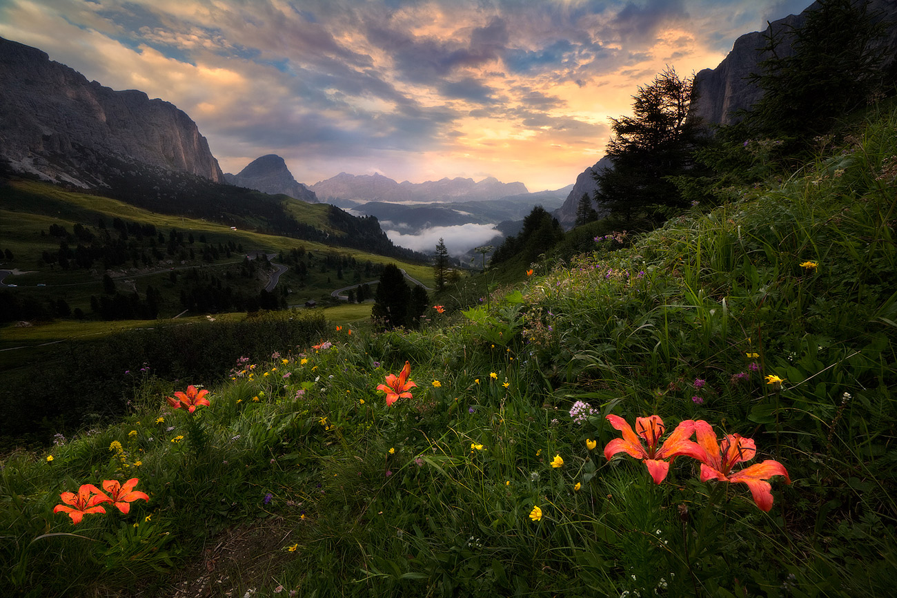 Passo Gardena fiorito