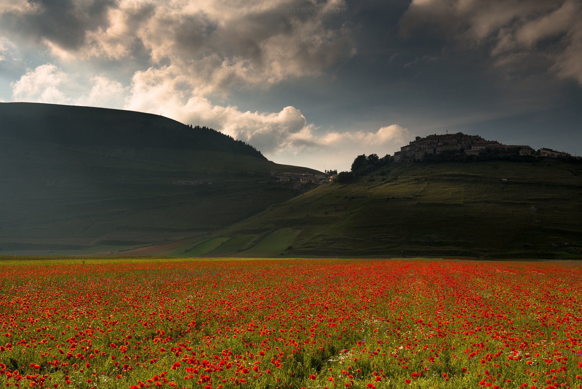 Castelluccio Red Passion