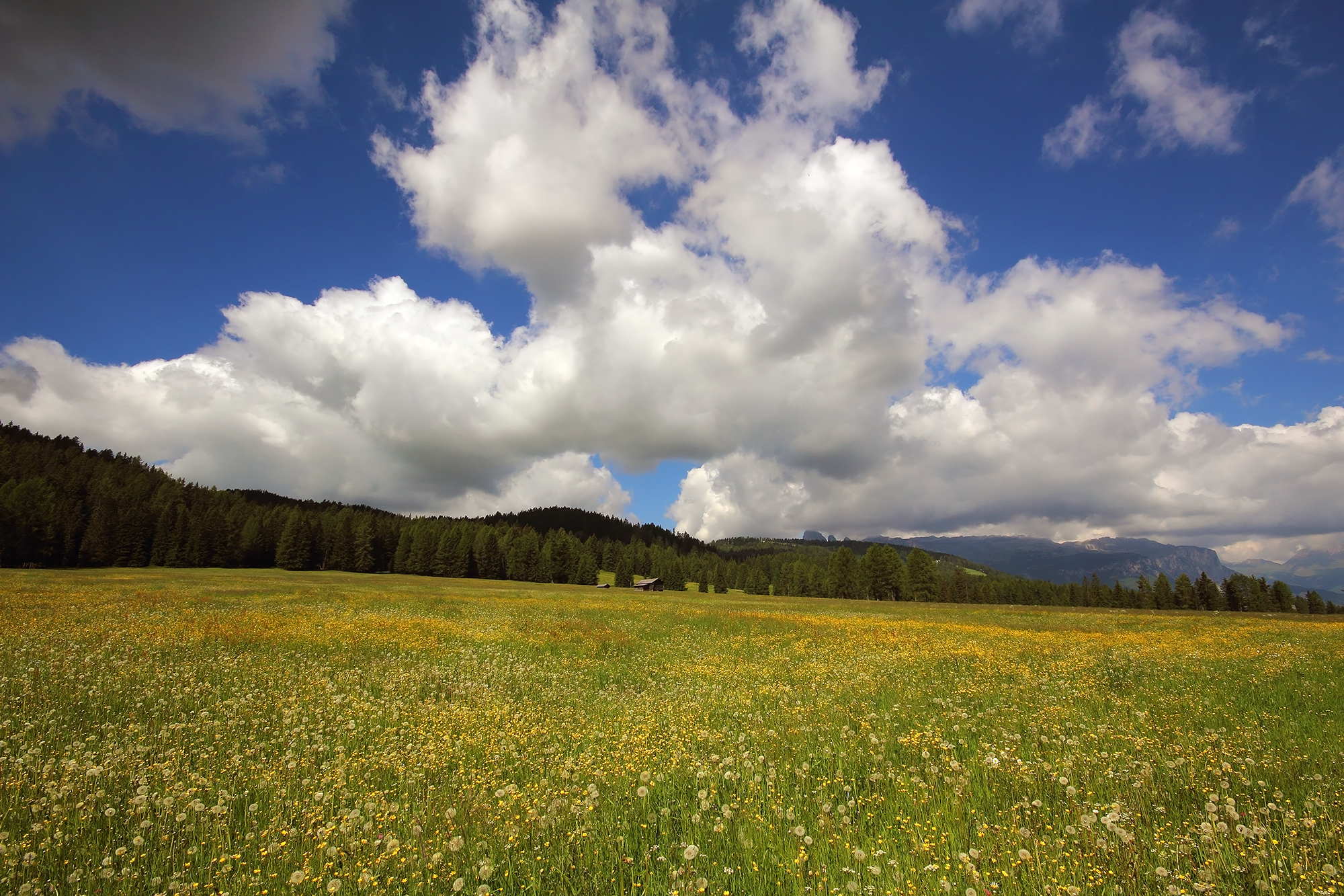 I Prati dell'Armentarola