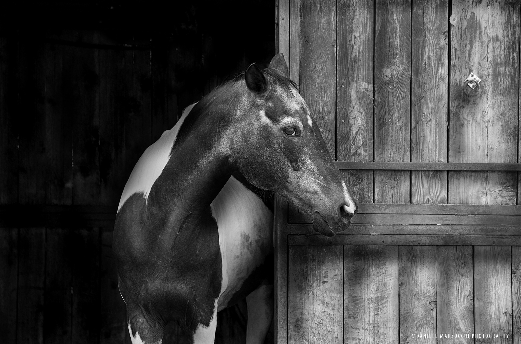 A View from the door