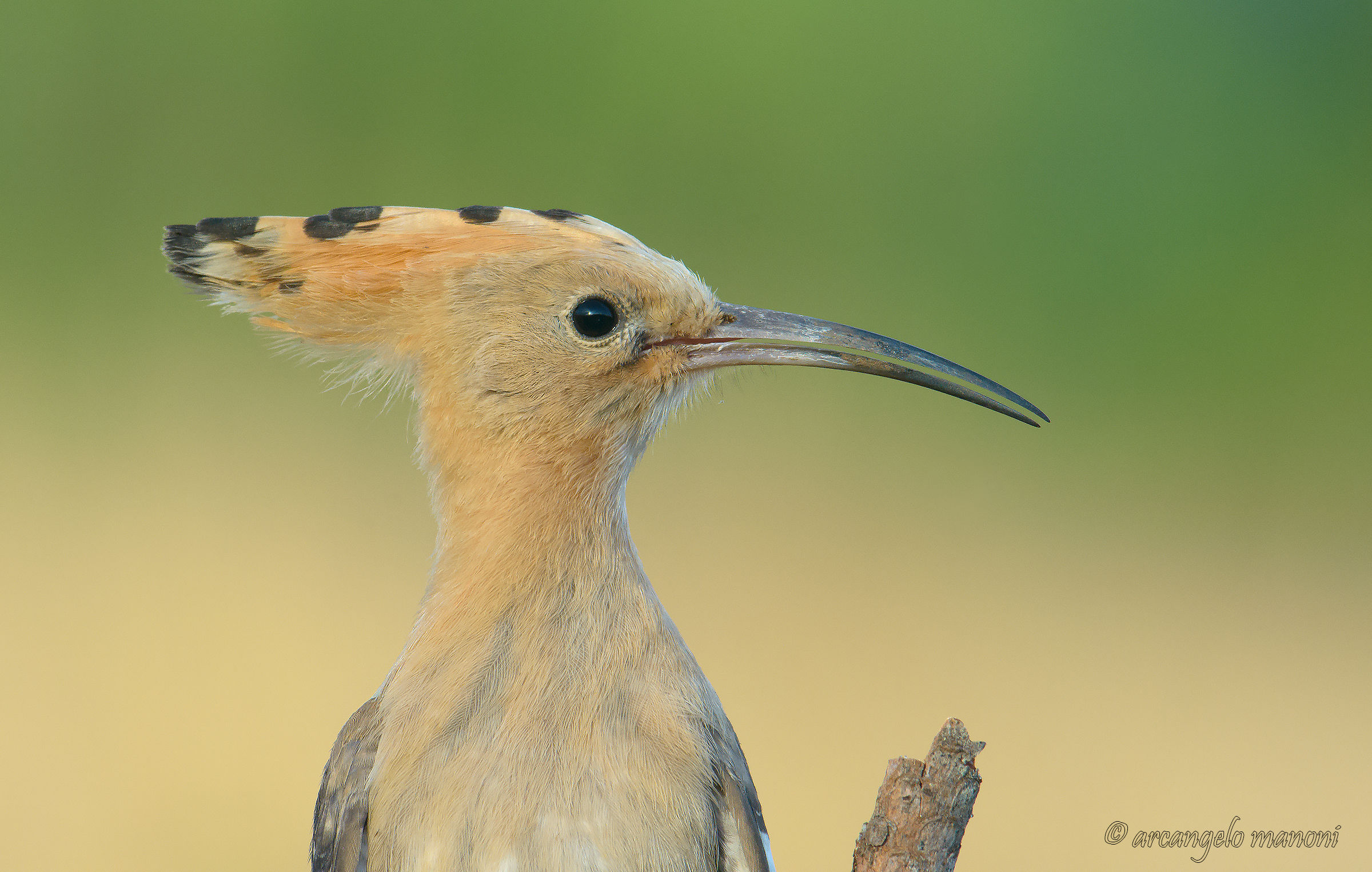 In a search of a bit so