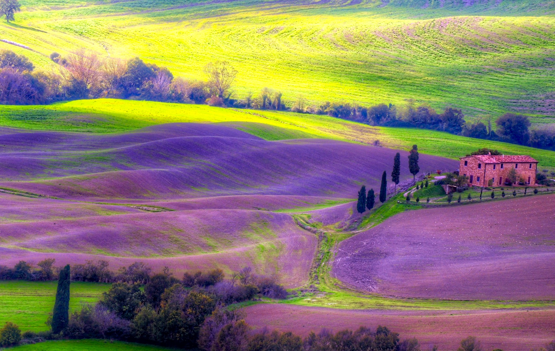 Val d'Orcia