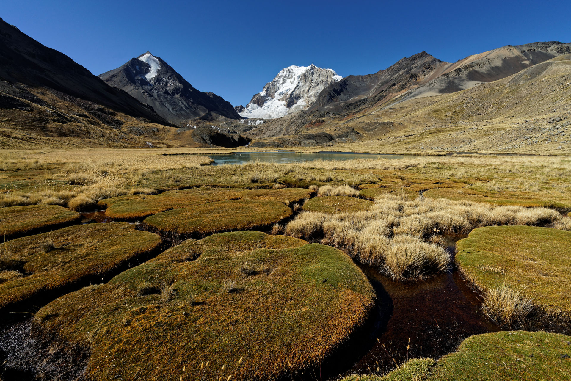 Paludi vicino Huayna Potosi