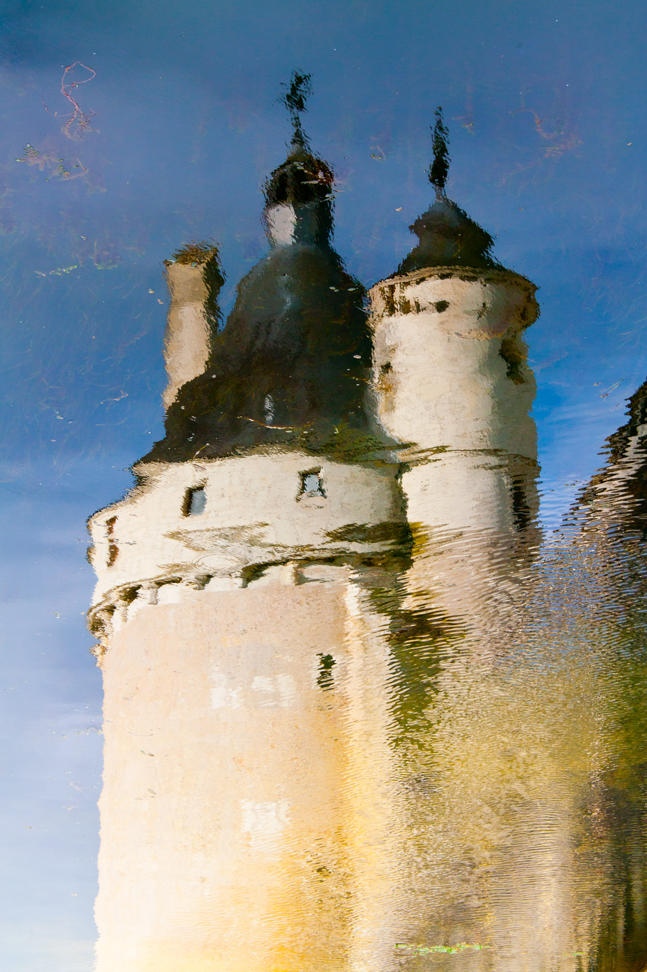 Riflesso di Chenonceau