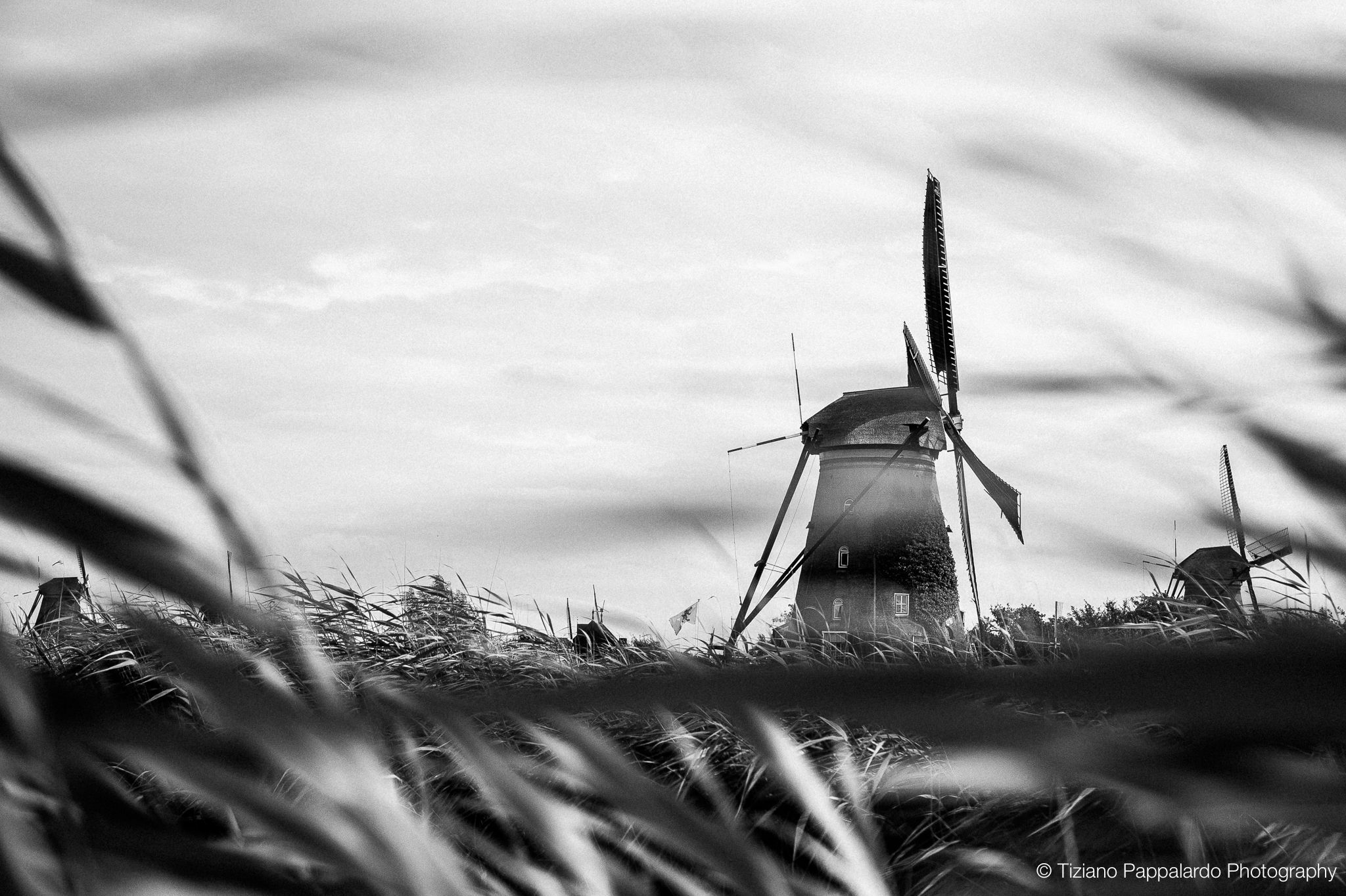 Mill in the wind