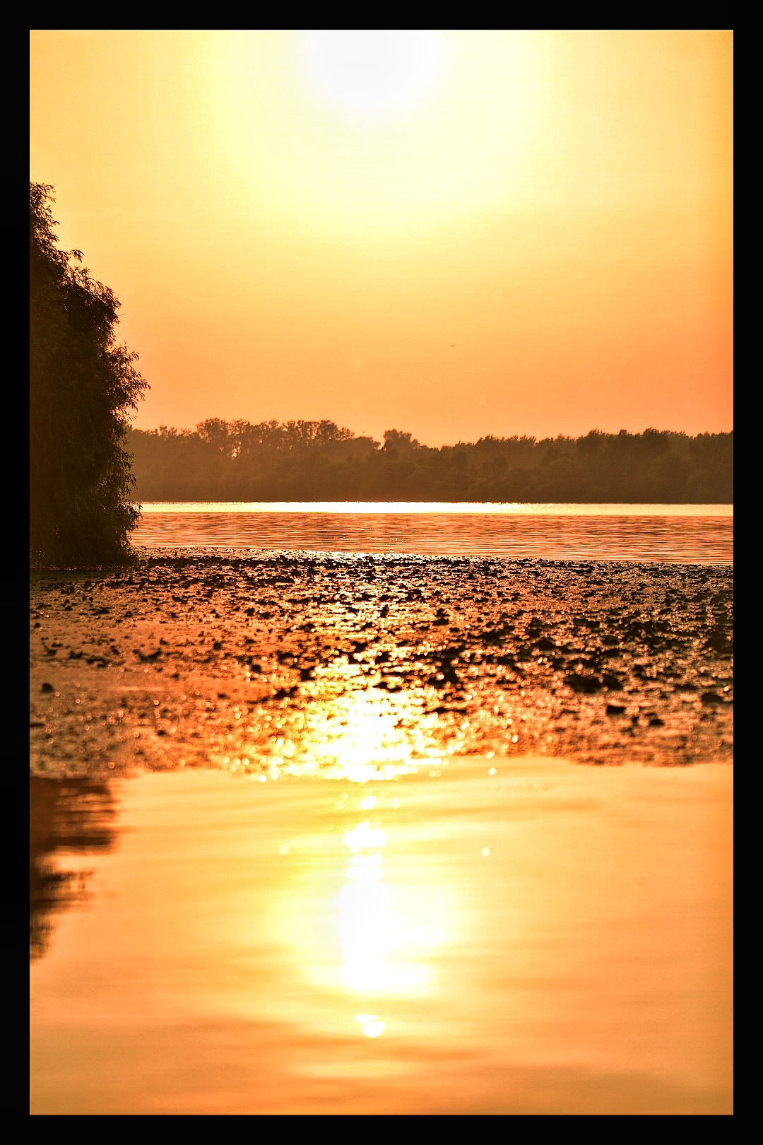 alba nel Delta del Danubio