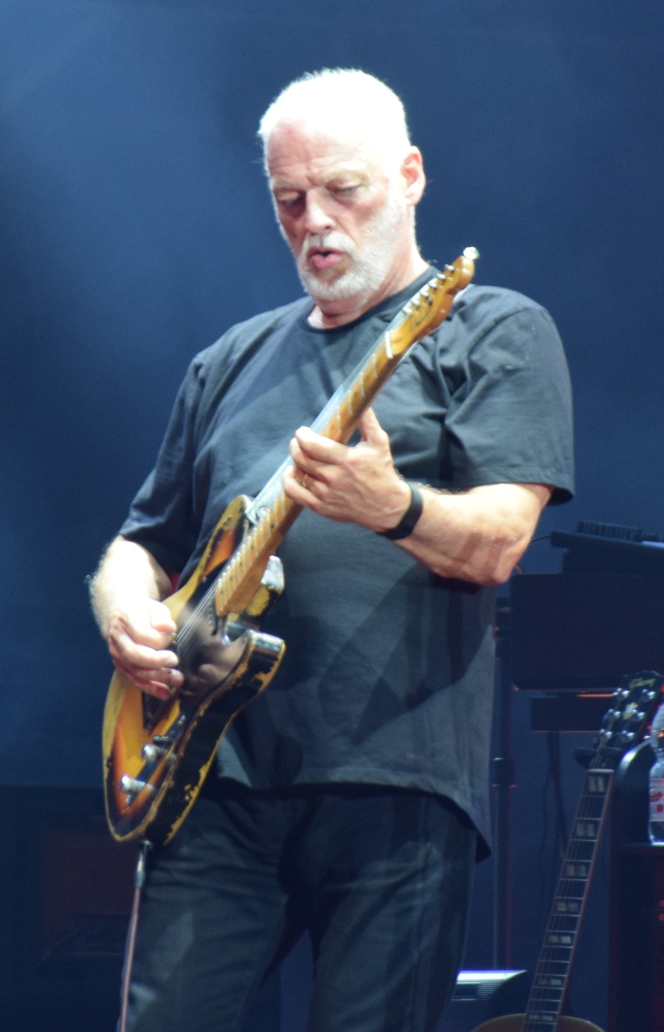David Gilmour Verona July 11, 2016