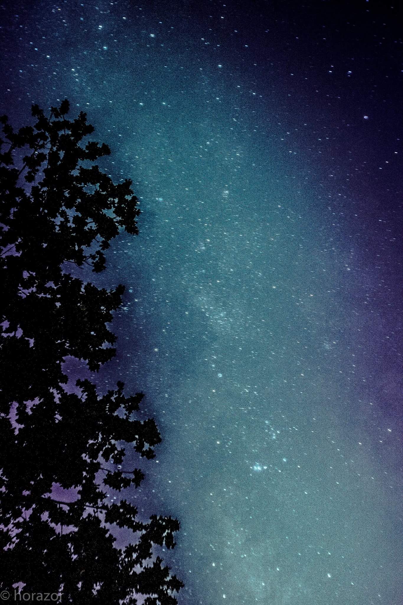 Stop..silenzio..applausi all'universo