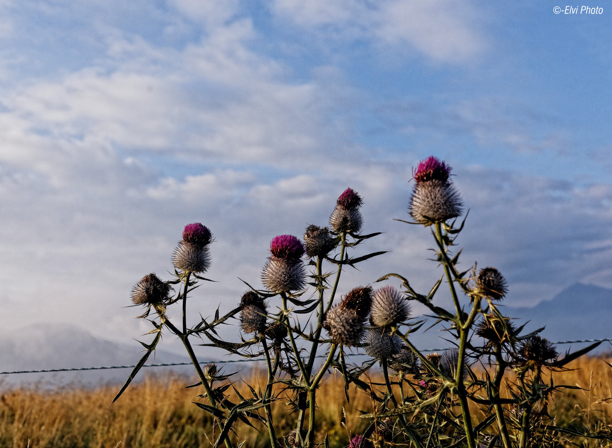 Un gruppo in controluce