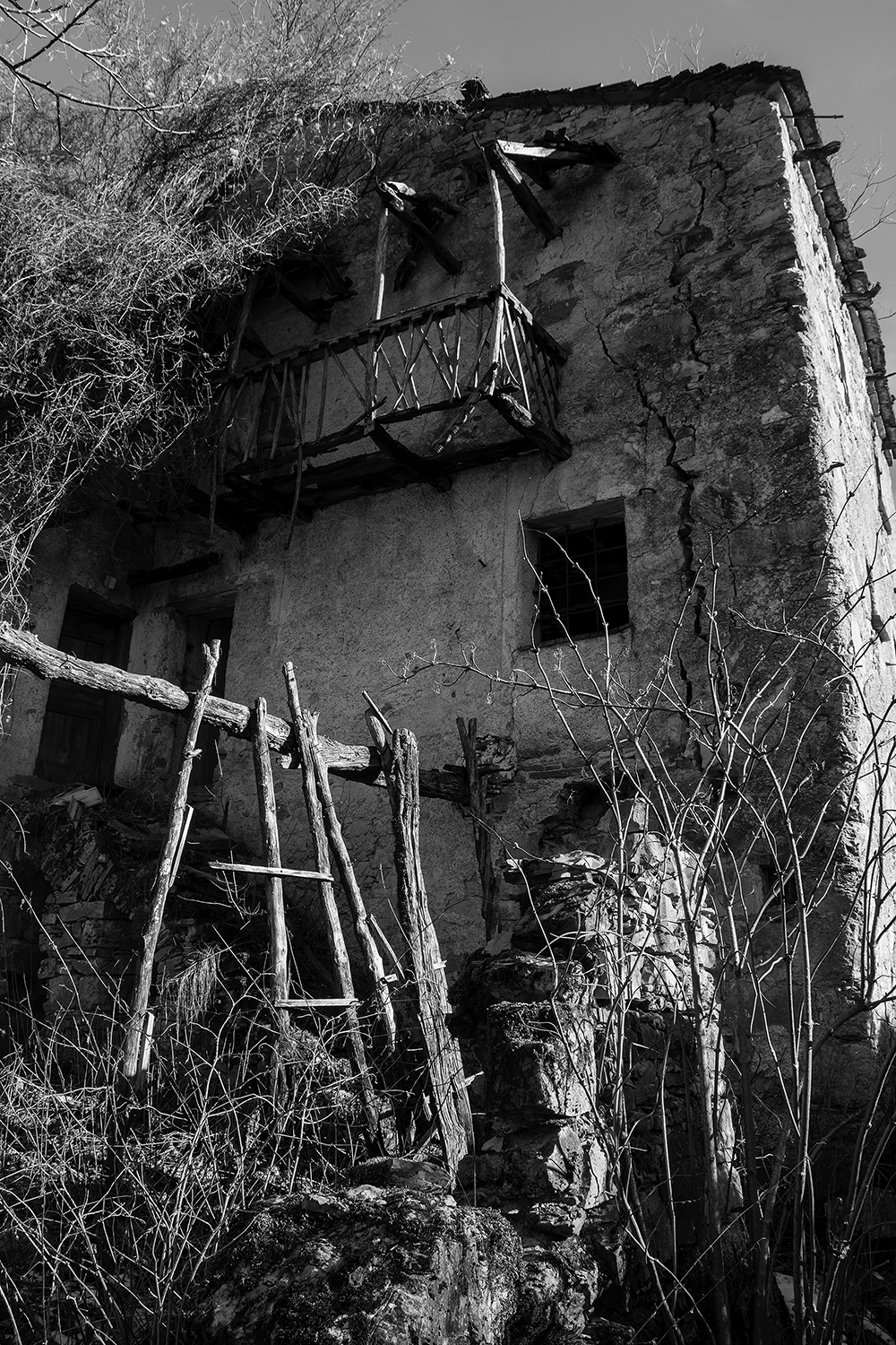 The house with terrace