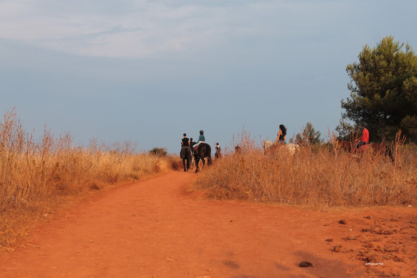 Passeggiata tra le cave di bauxite
