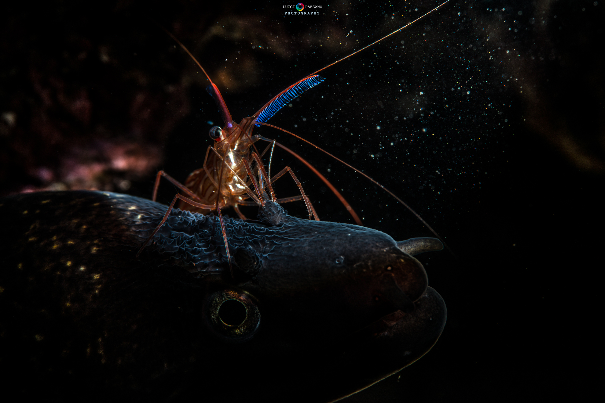 Dive among the stars !!!