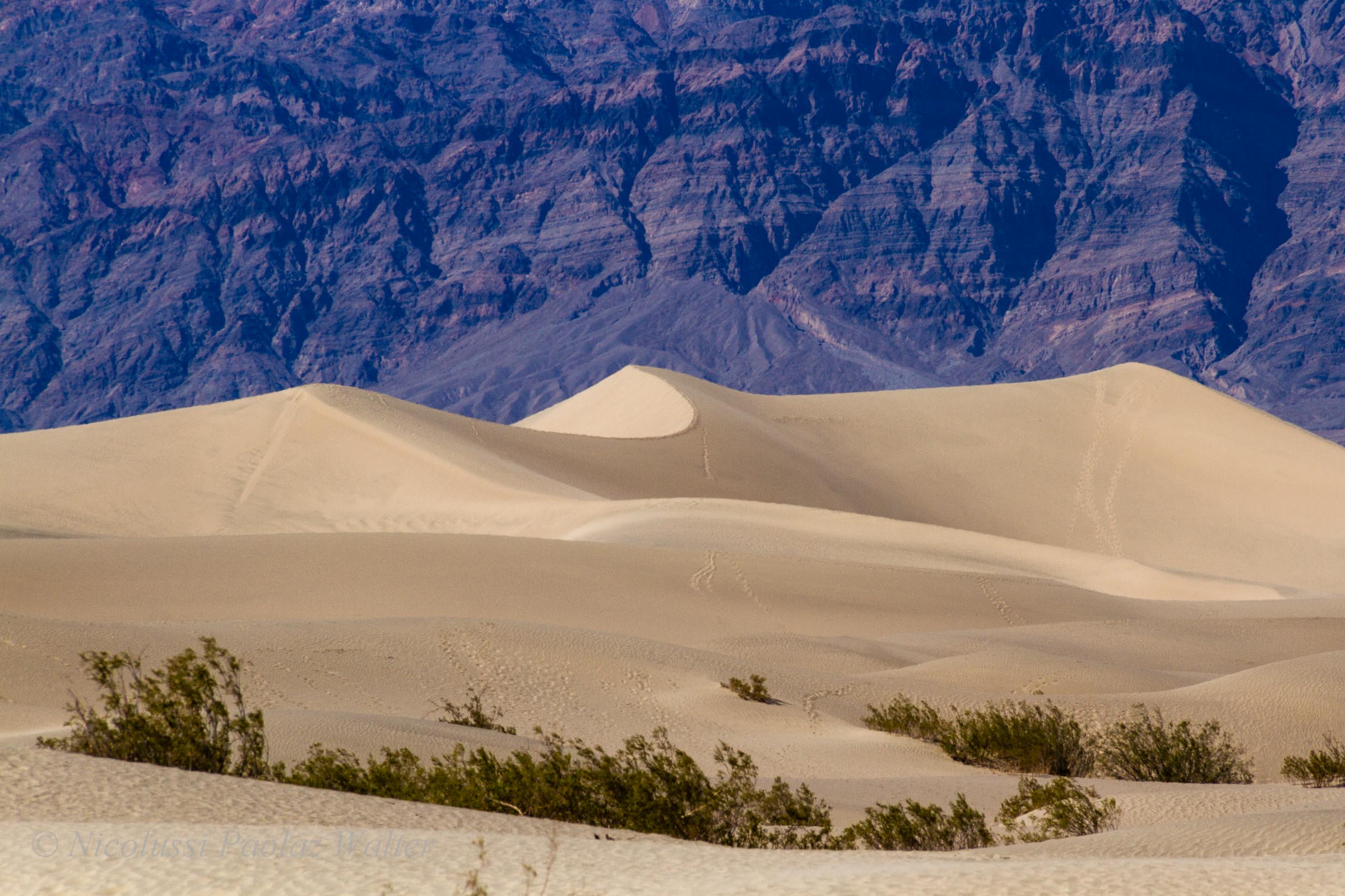 Mesquite Dunes
