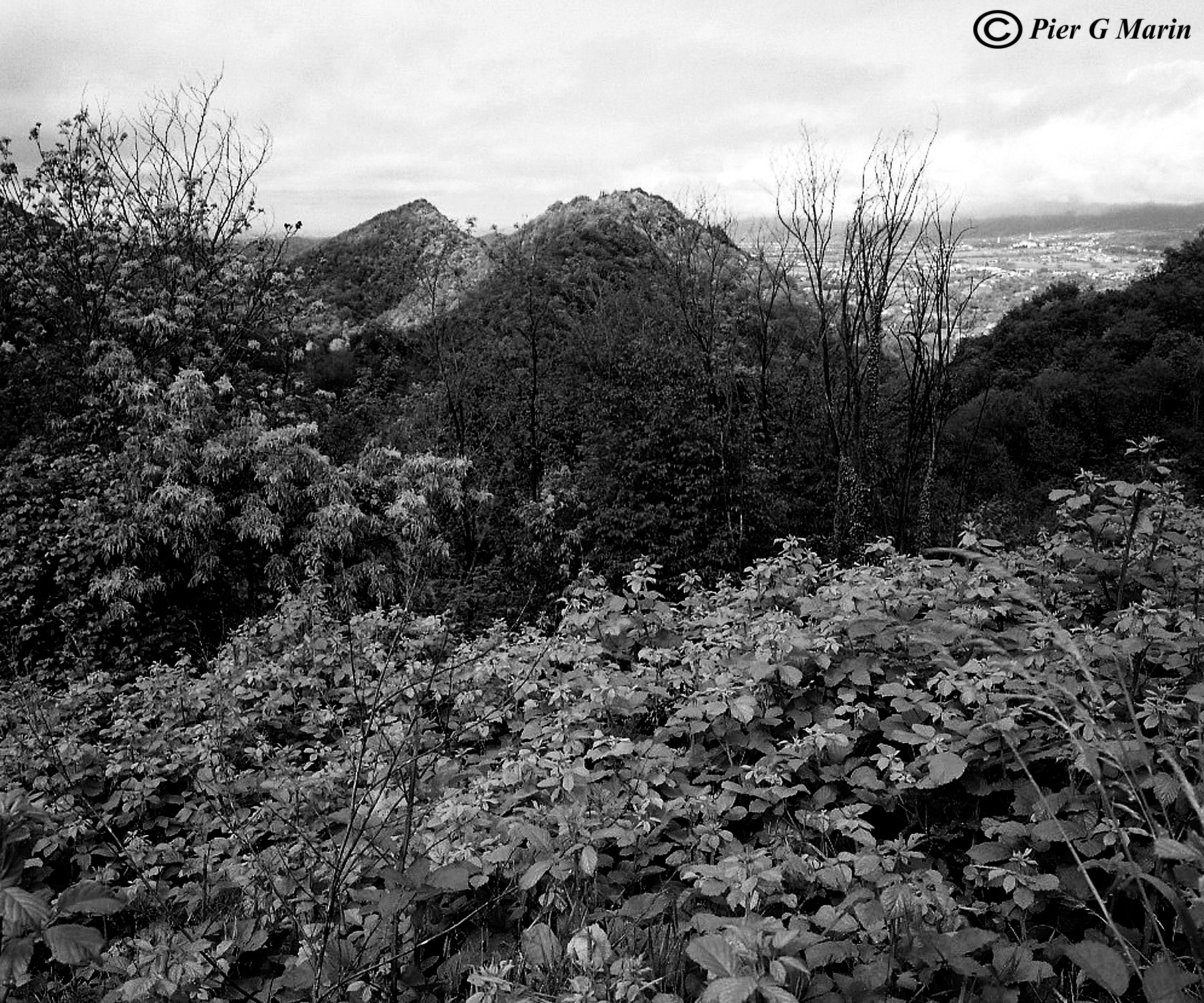 10 - Veneto. Colli Asolani