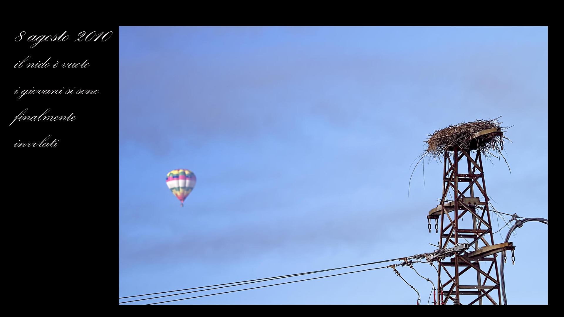 Le cicogne di Porcari