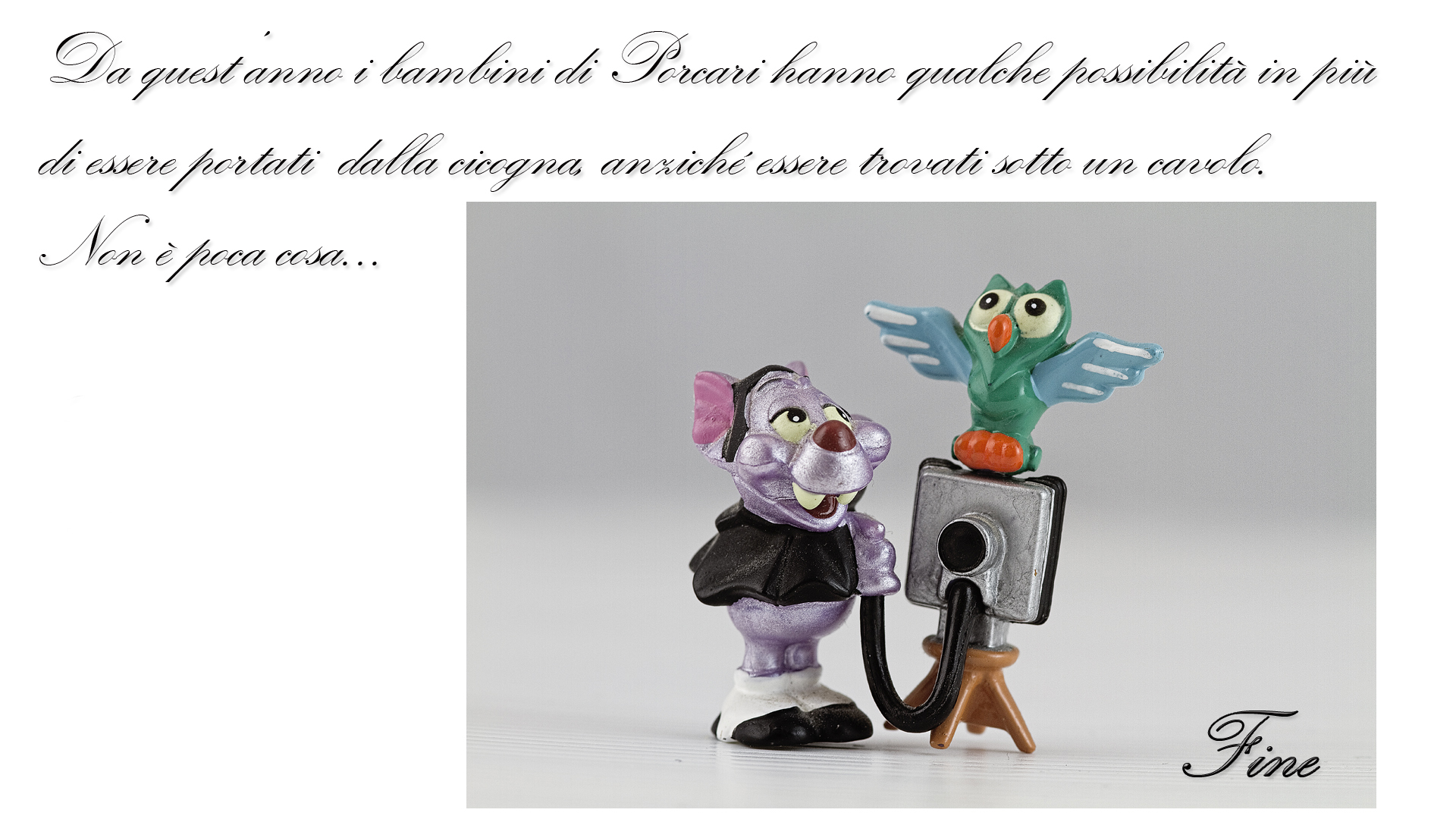 Le cicogne di Porcari