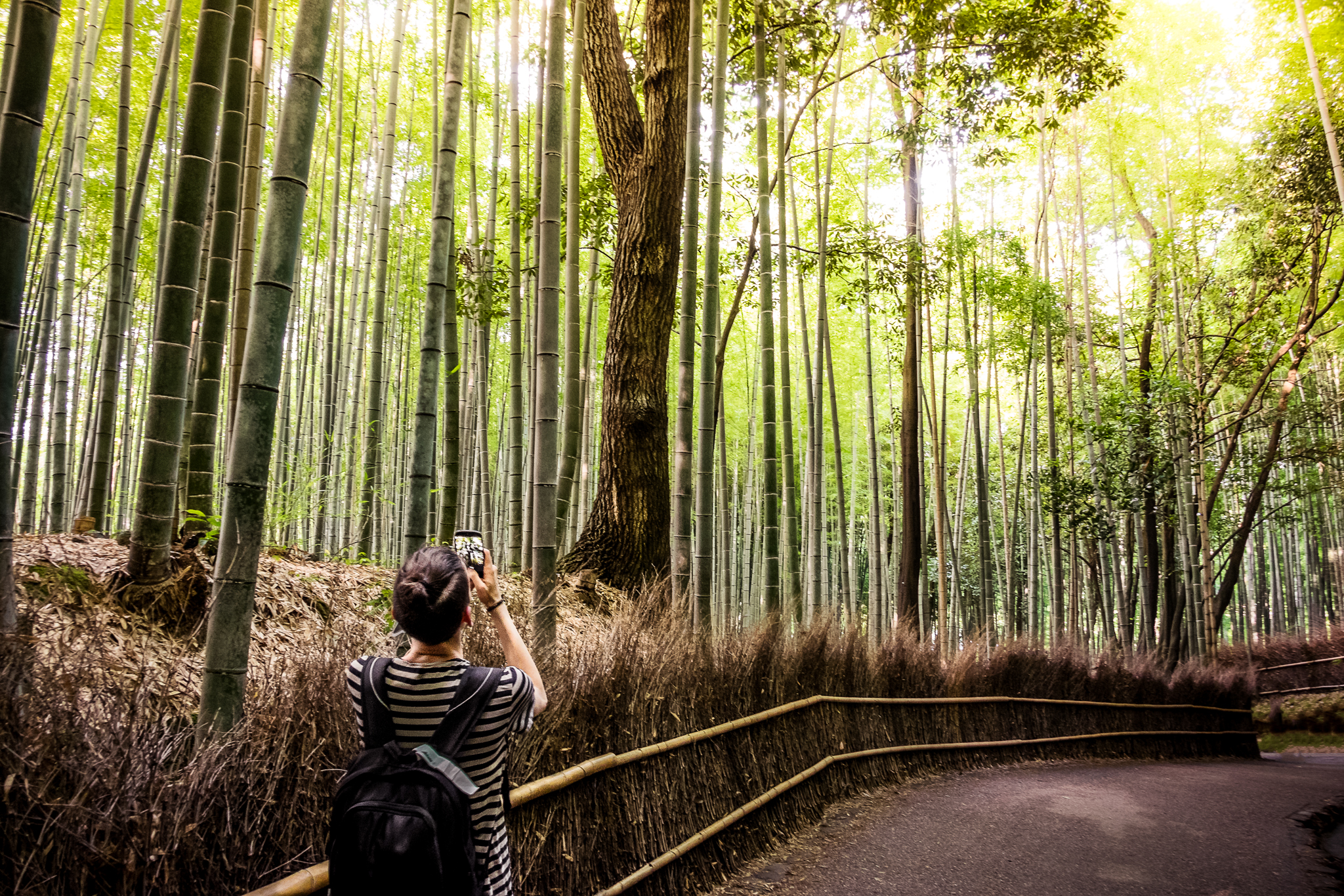 Arashiyama - Bamboo Forest