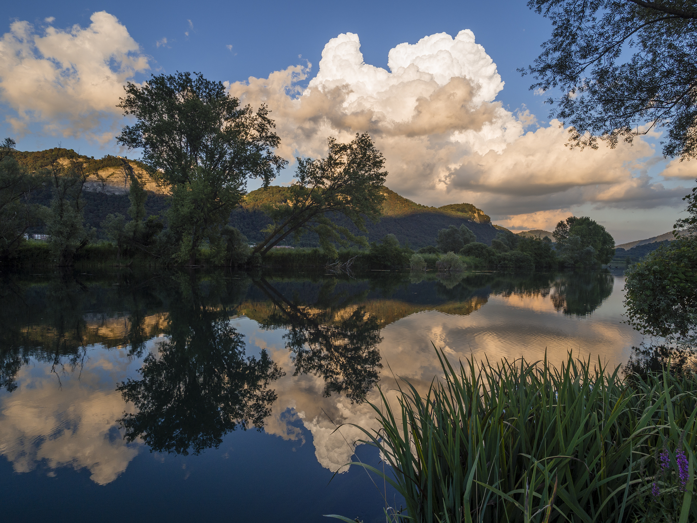 Palette along the Adda
