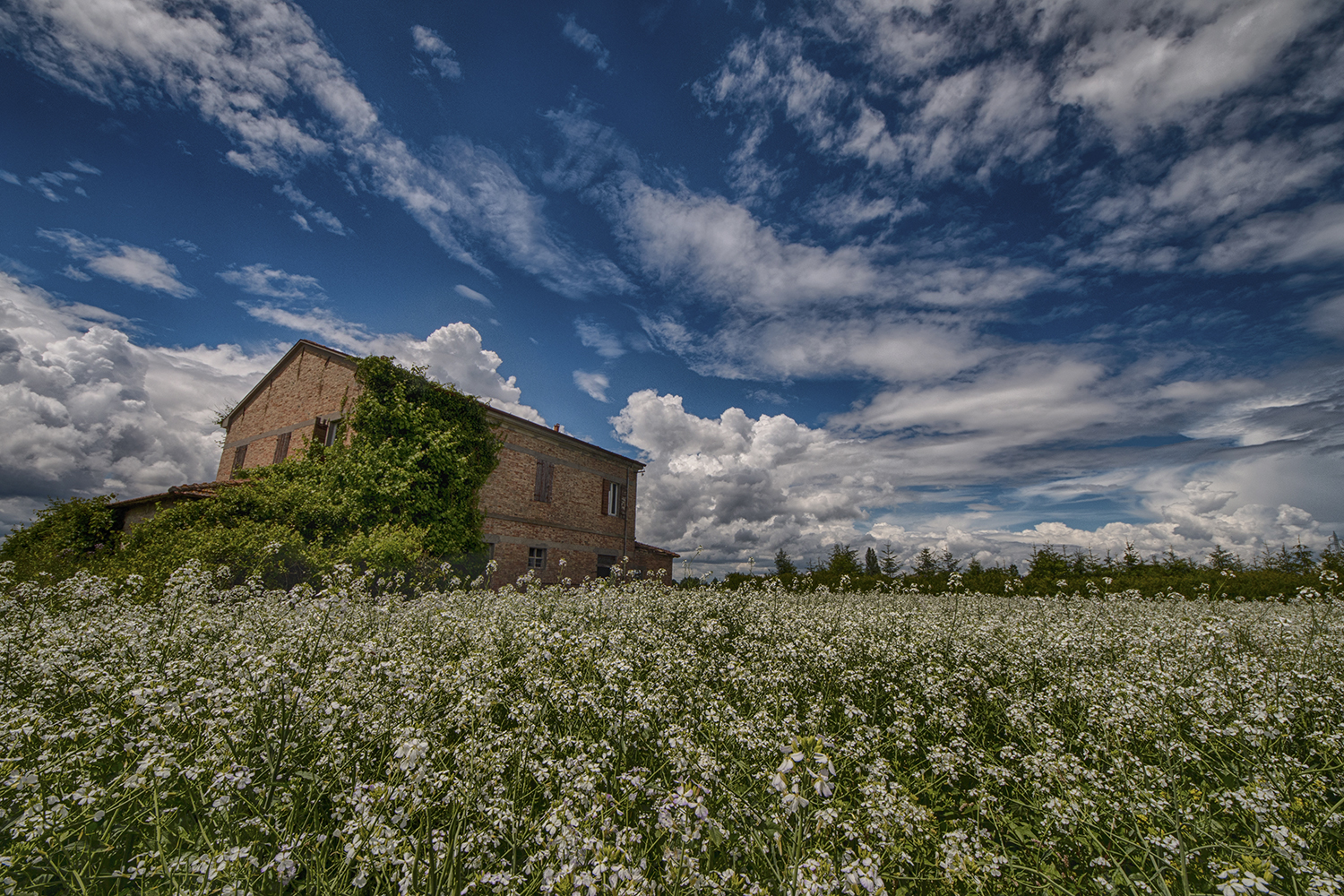 la casa nella prateria