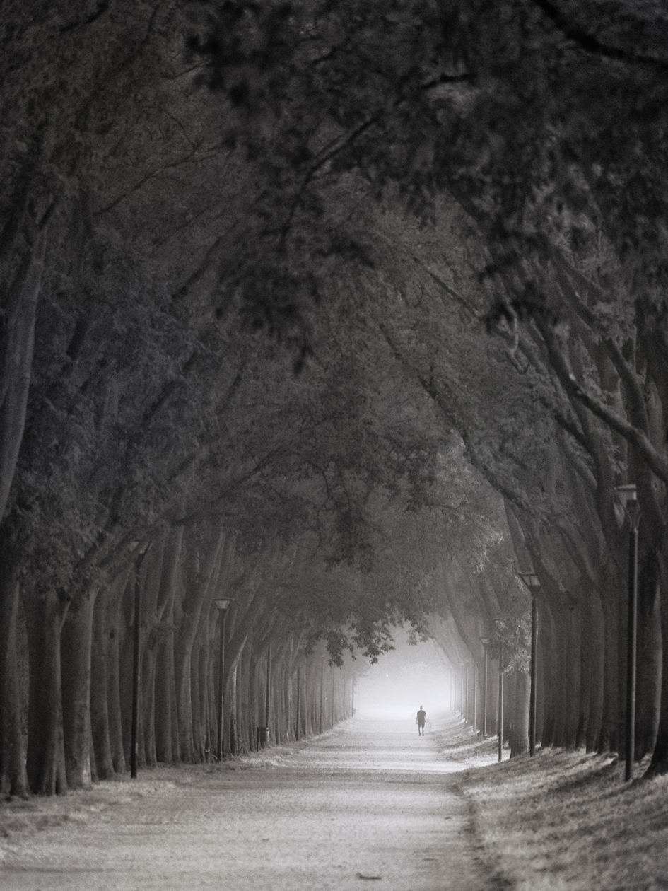 All'alba sulle mura cittadine