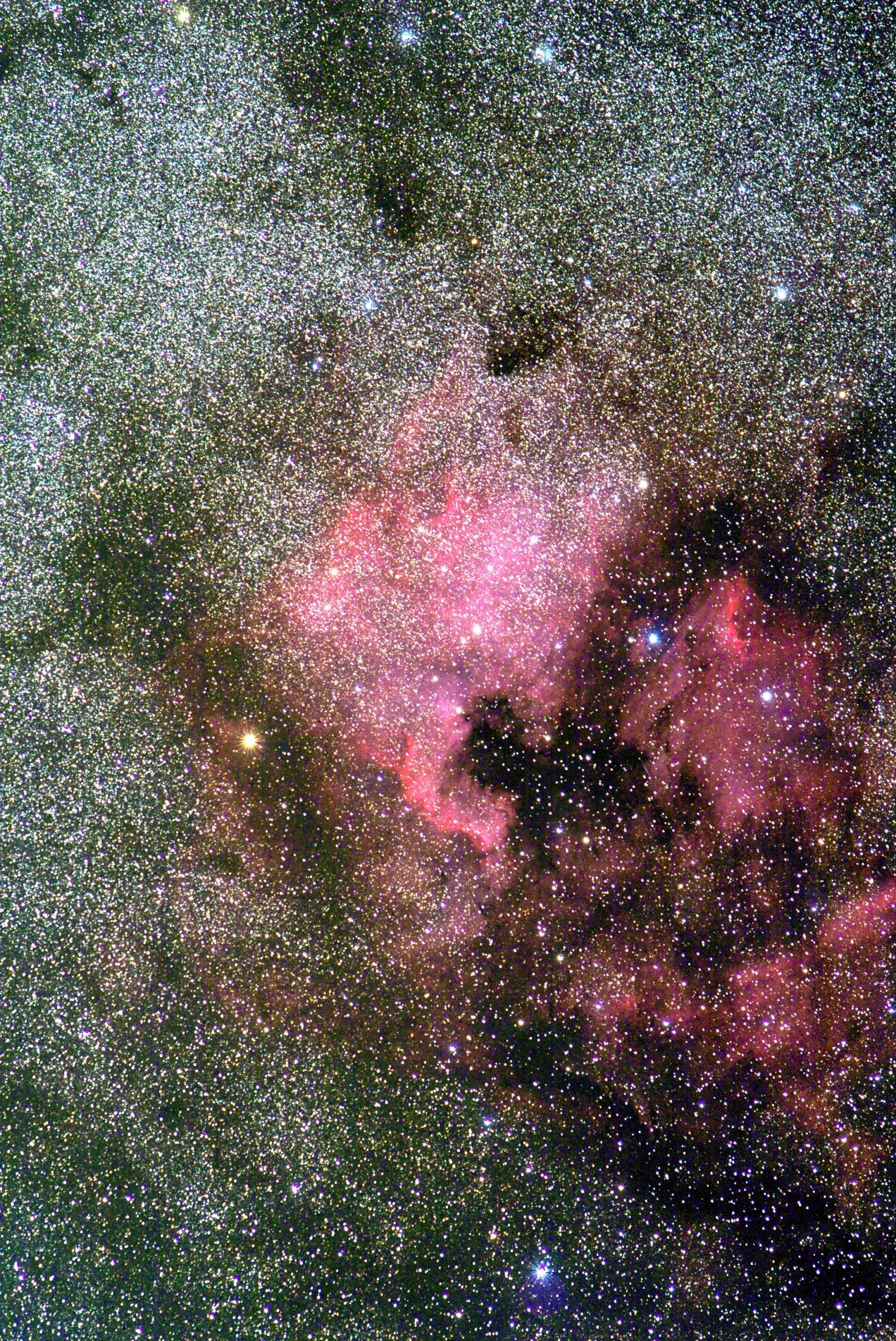 Nebulae "North America" ??and "Pelican" ...