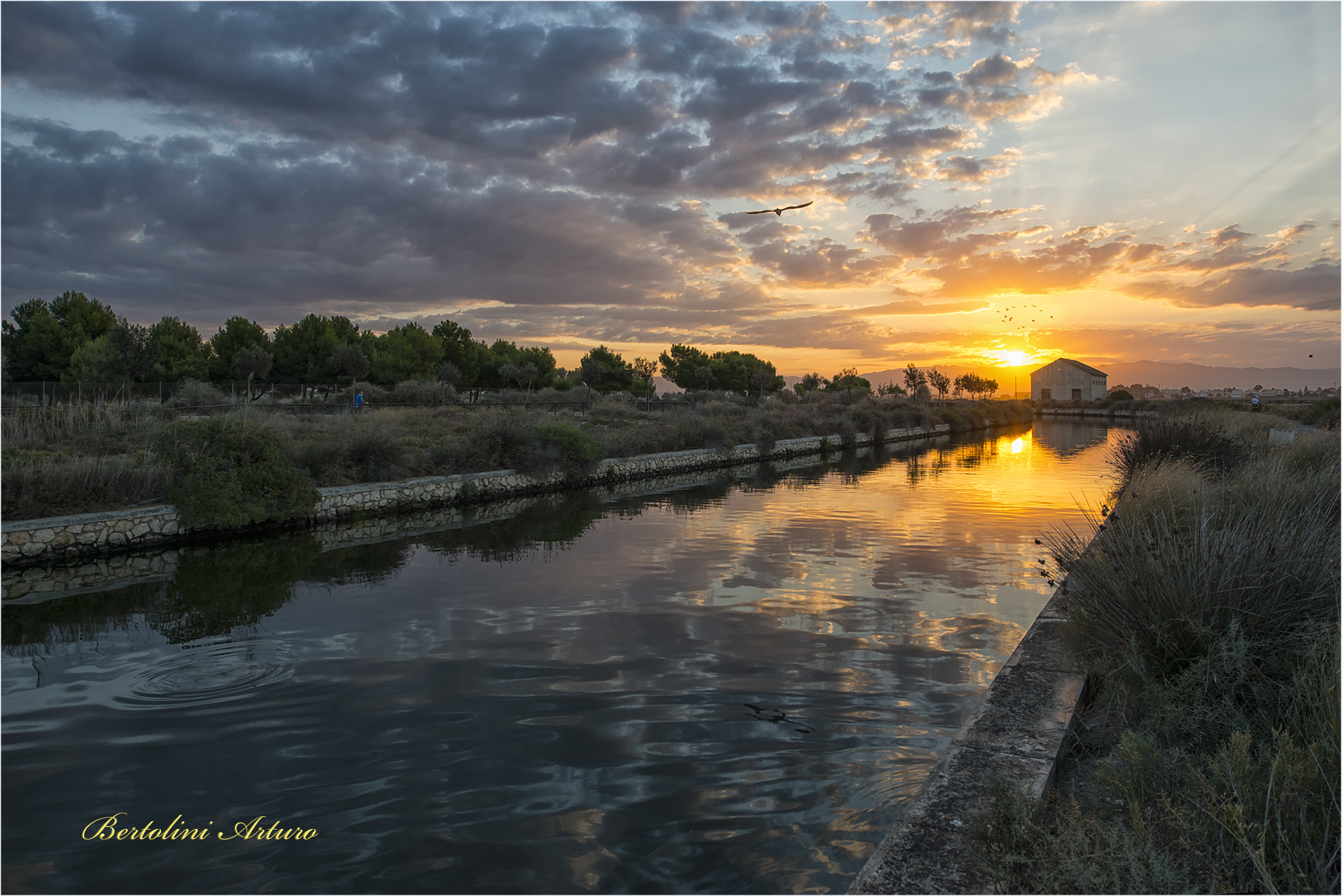 Ho fotografato invece di parlare...