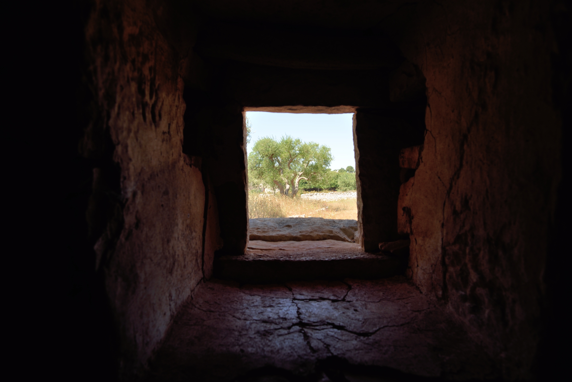 Puglia, the land of the trulli