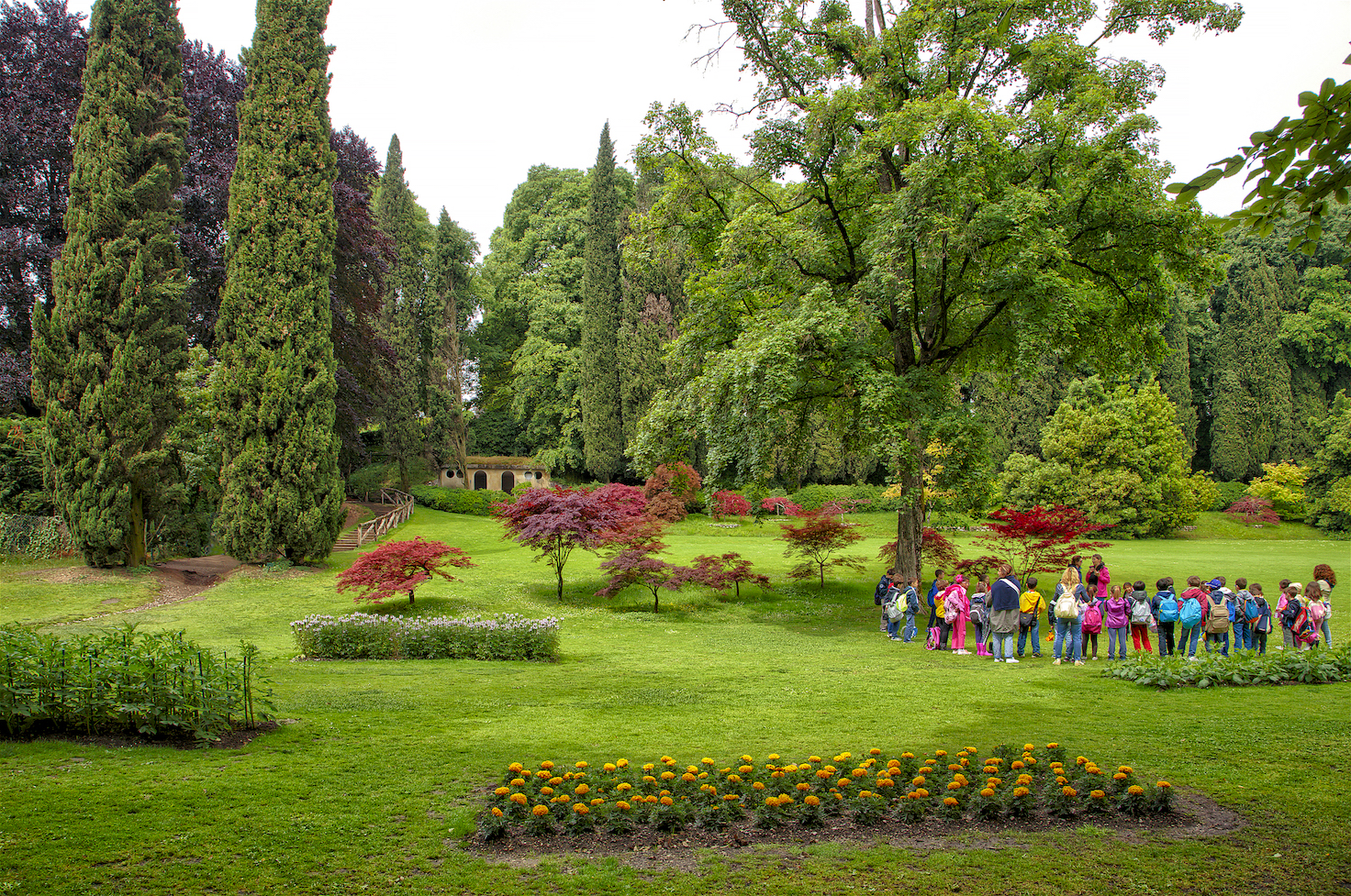Cheerful and colorful blooming
