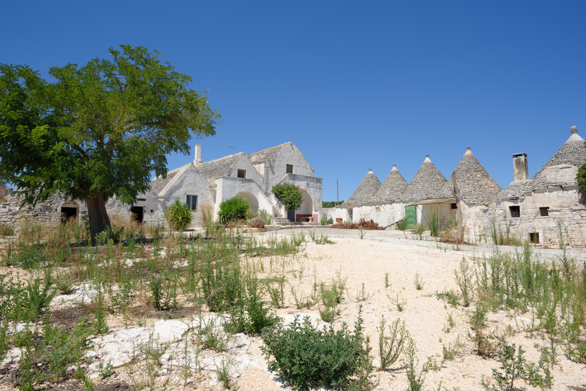 ancient farmhouse in Puglia murge