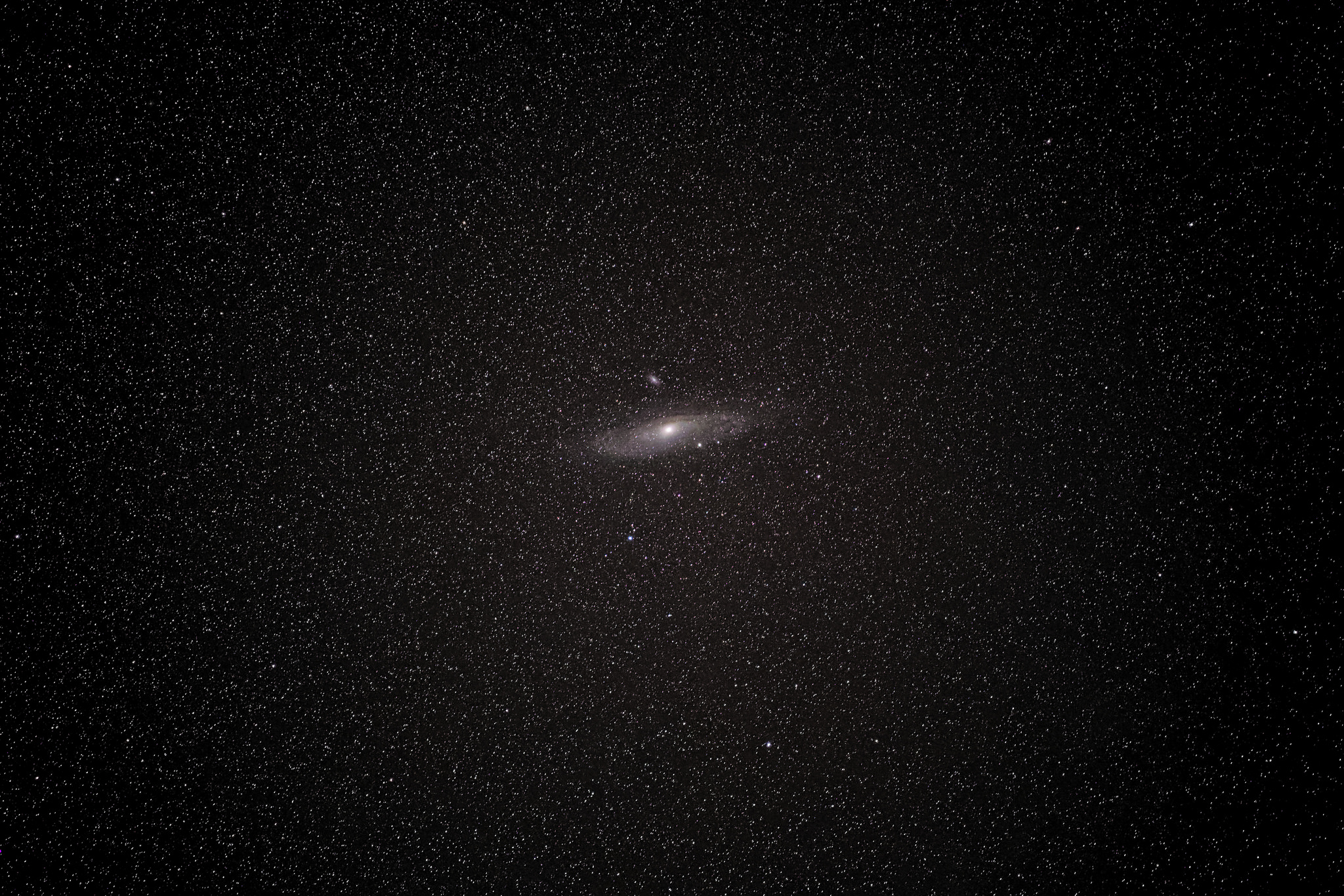 Andromeda