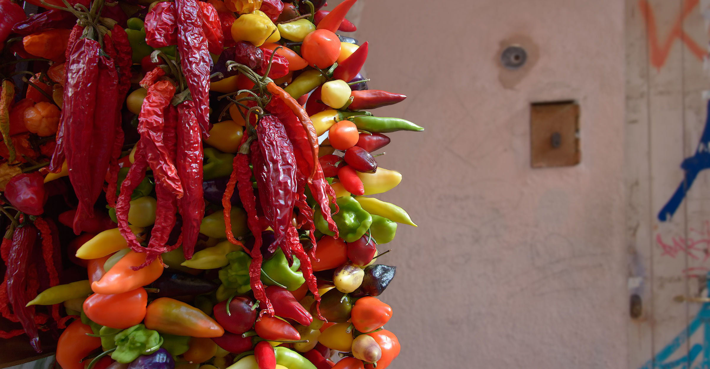 Mallorca chiles
