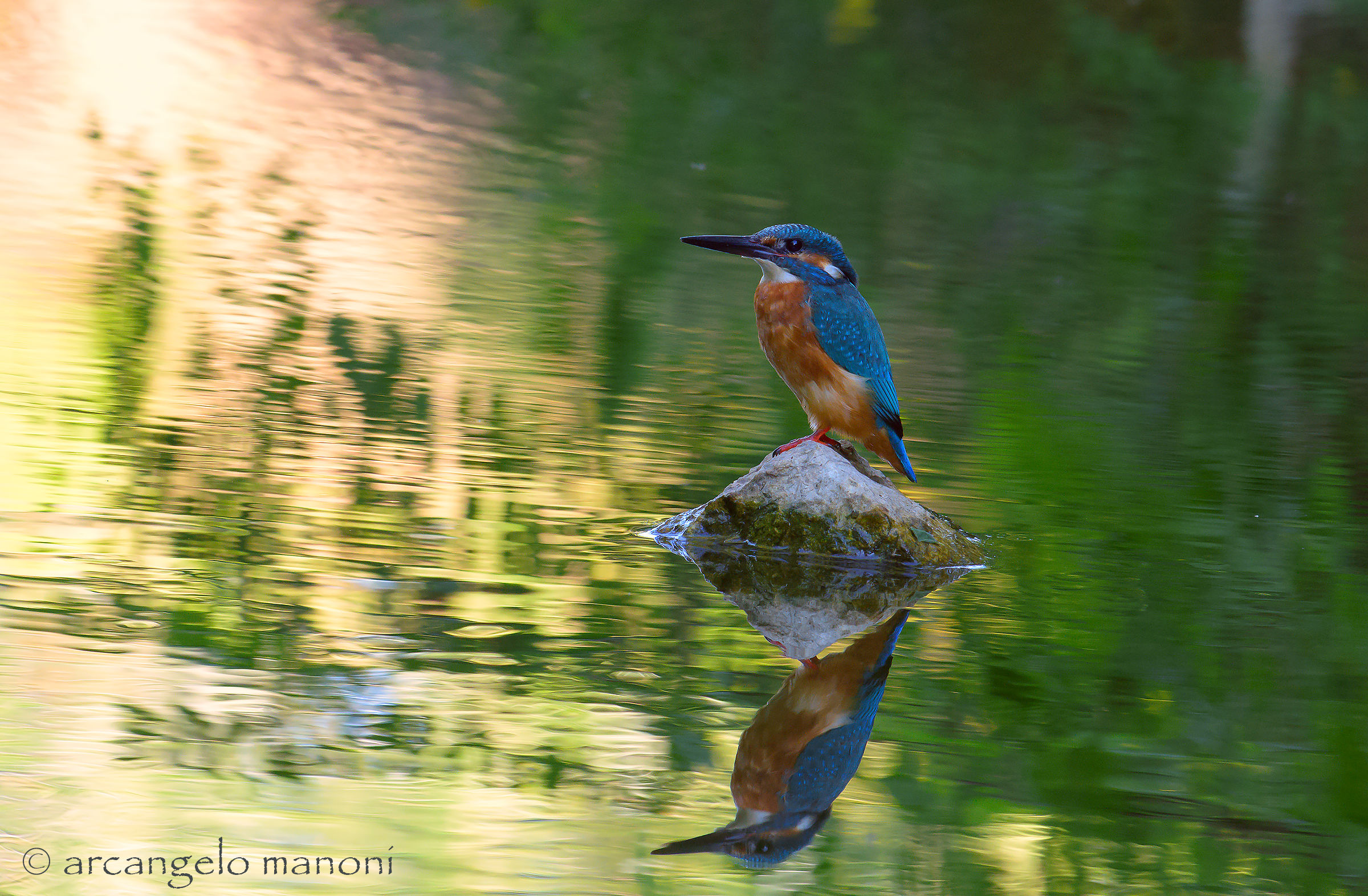 Martino ''naufragato tra i colori''
