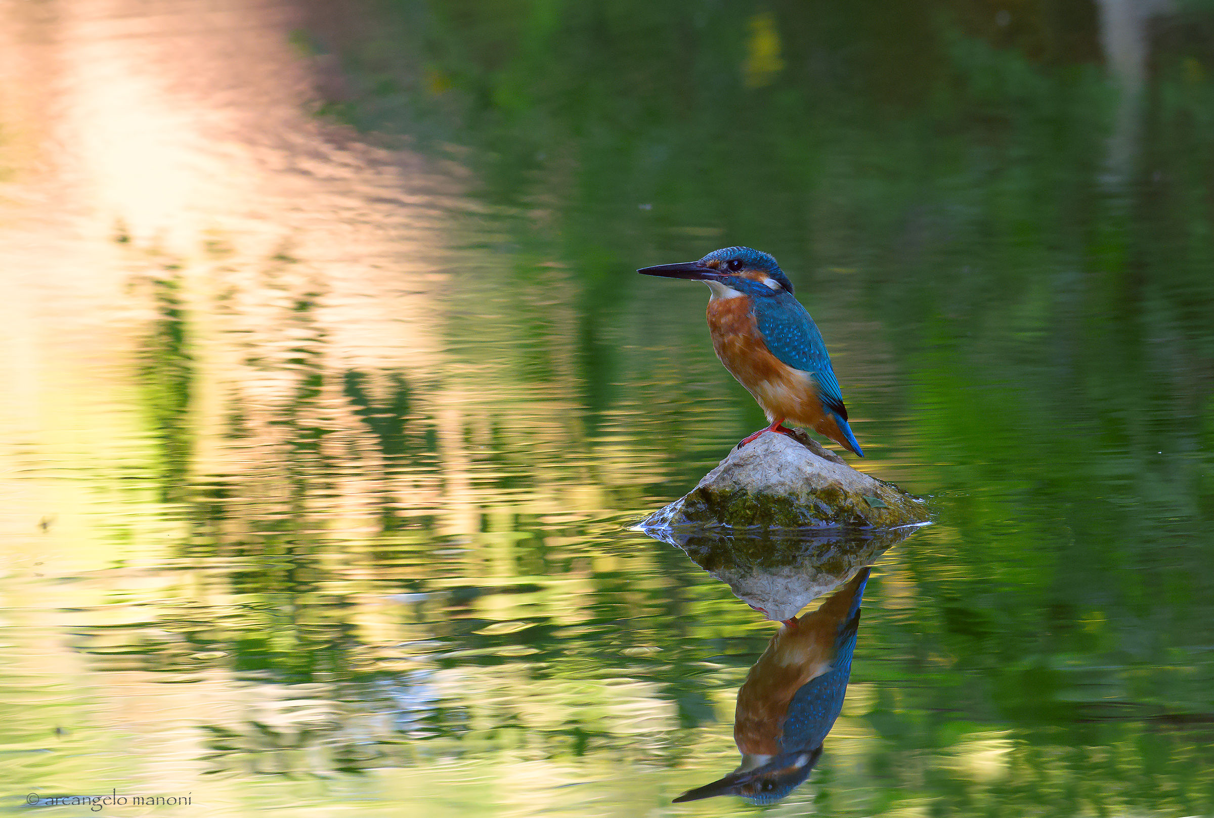Naufragar m'è dolce