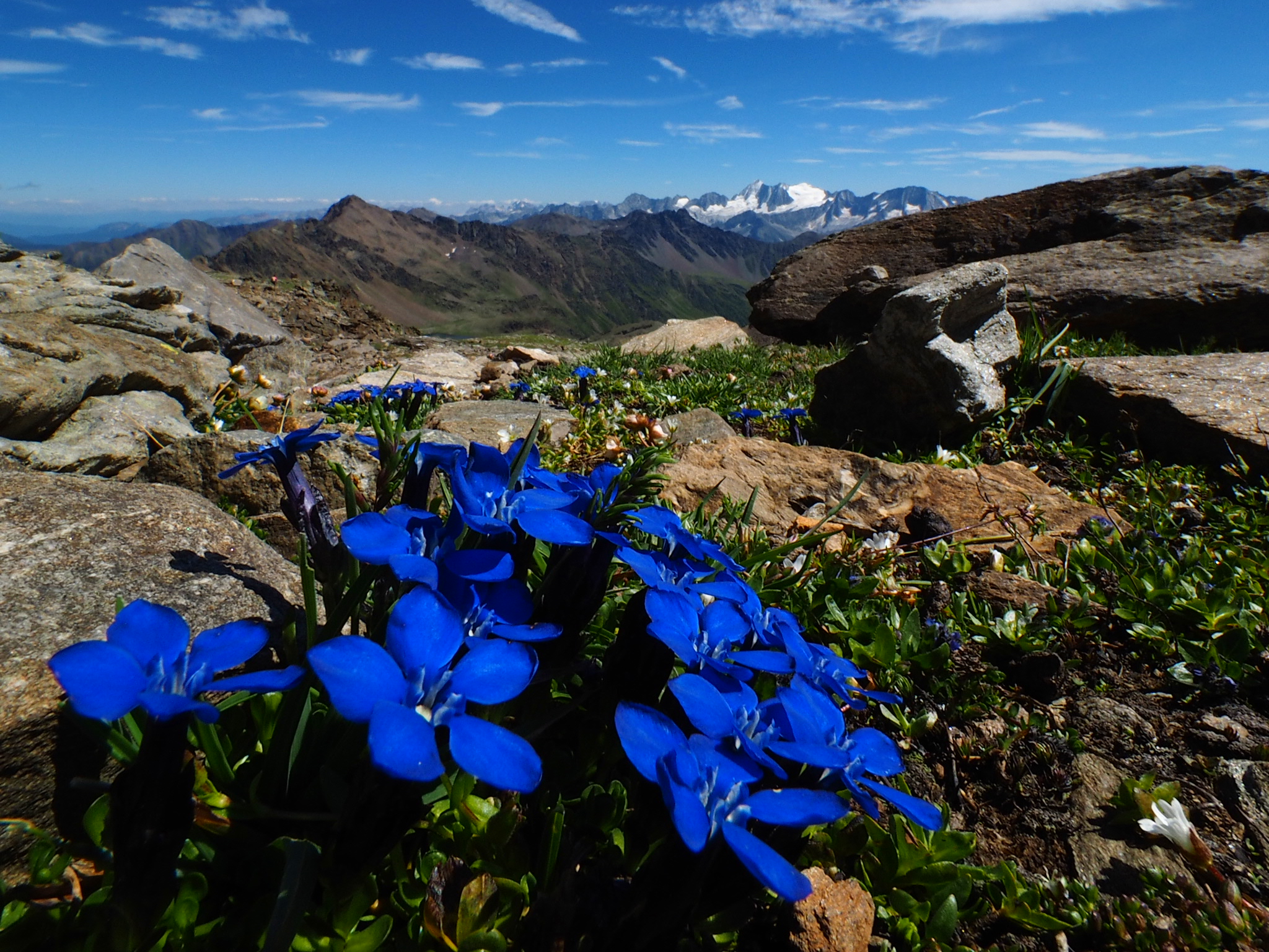 I colori della montagna