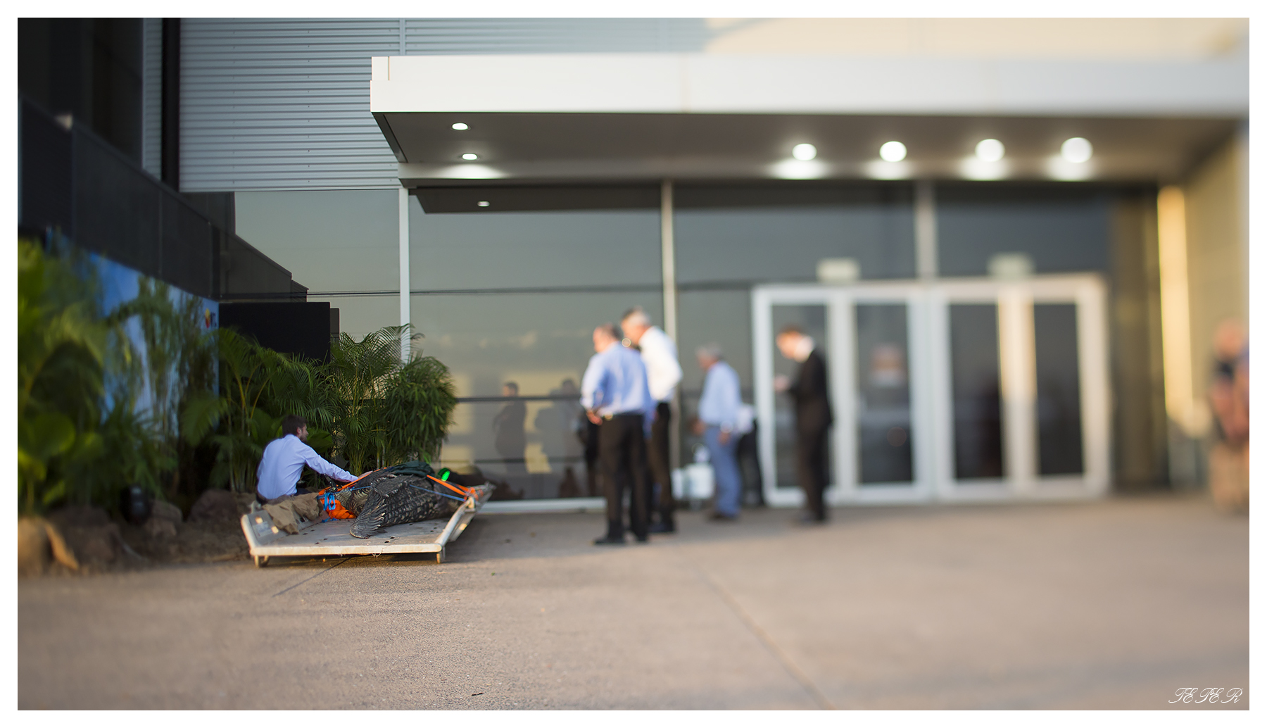 Inspecting the problem..