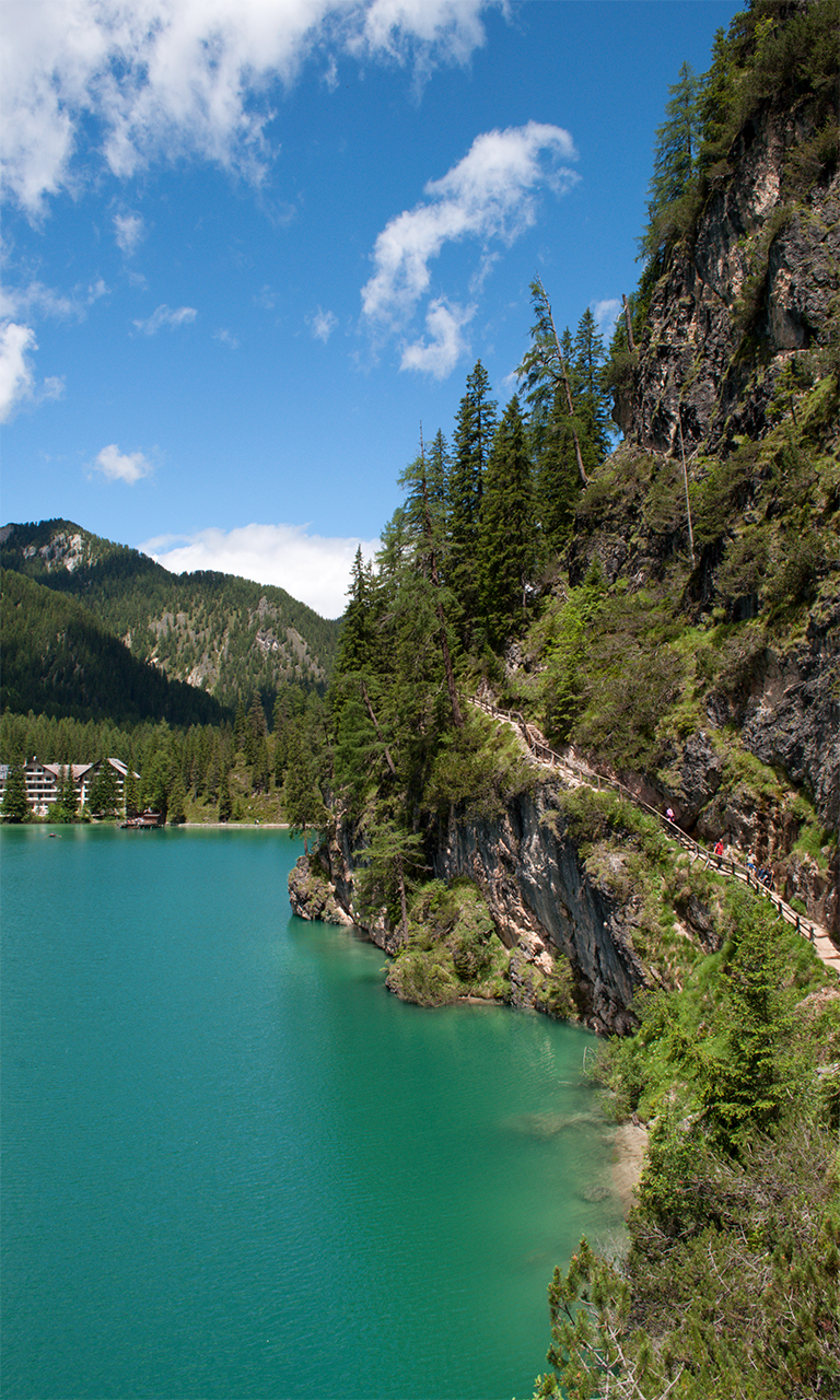 braies in green sauce