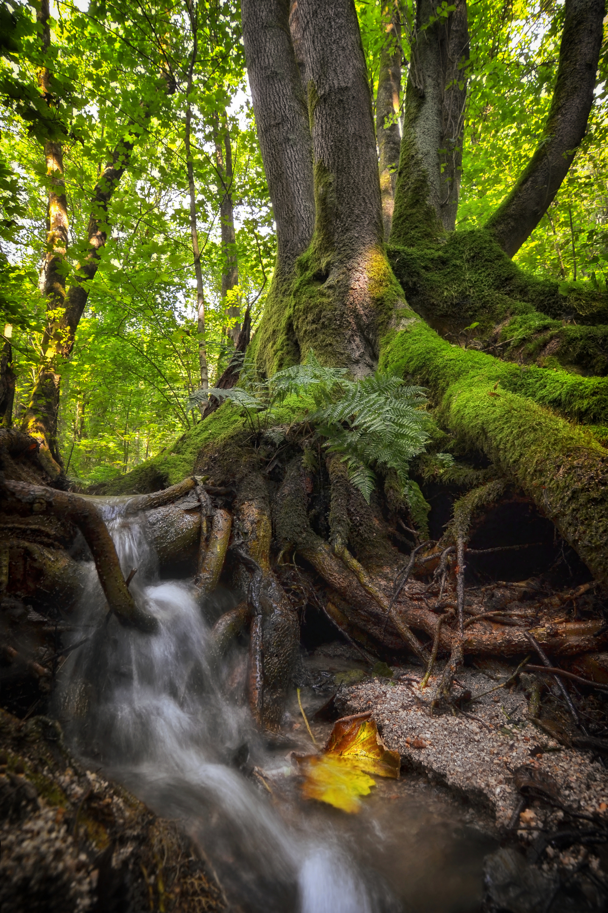 In the belly of the Earth
