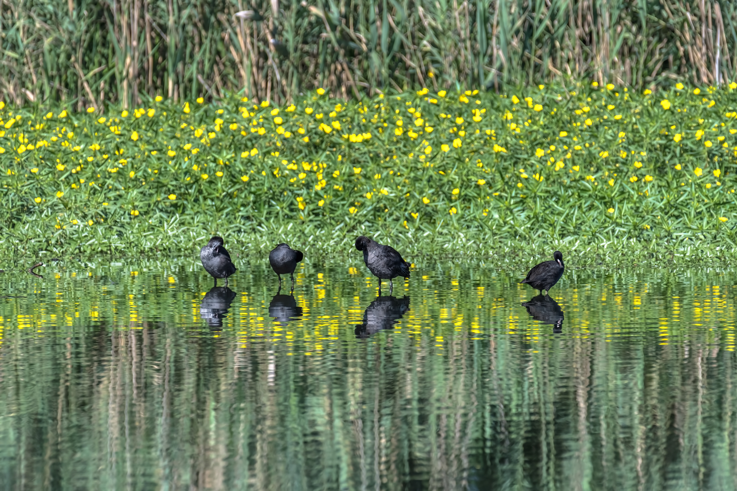 cleaning in the family