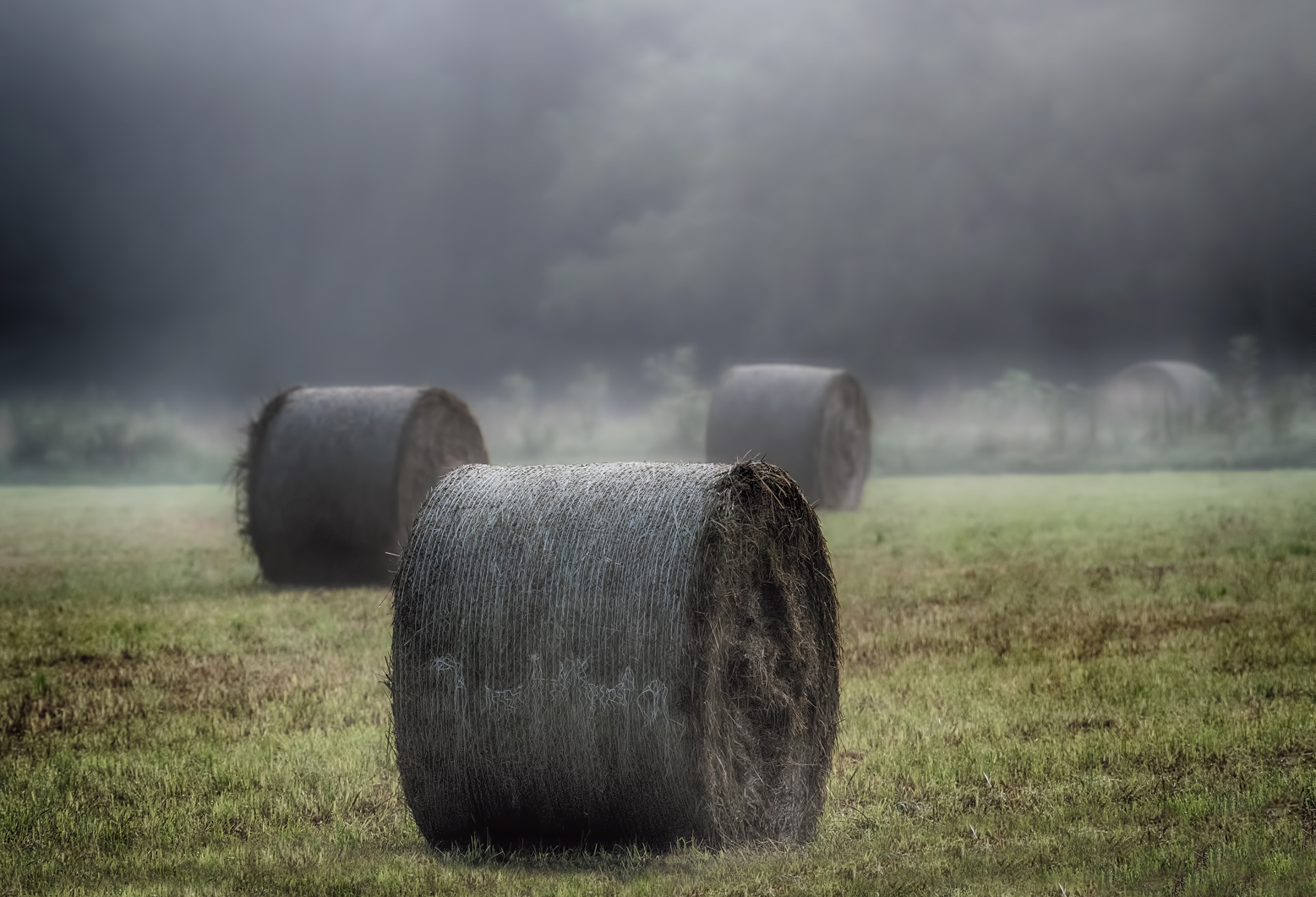 alba in campagna di mezza estate