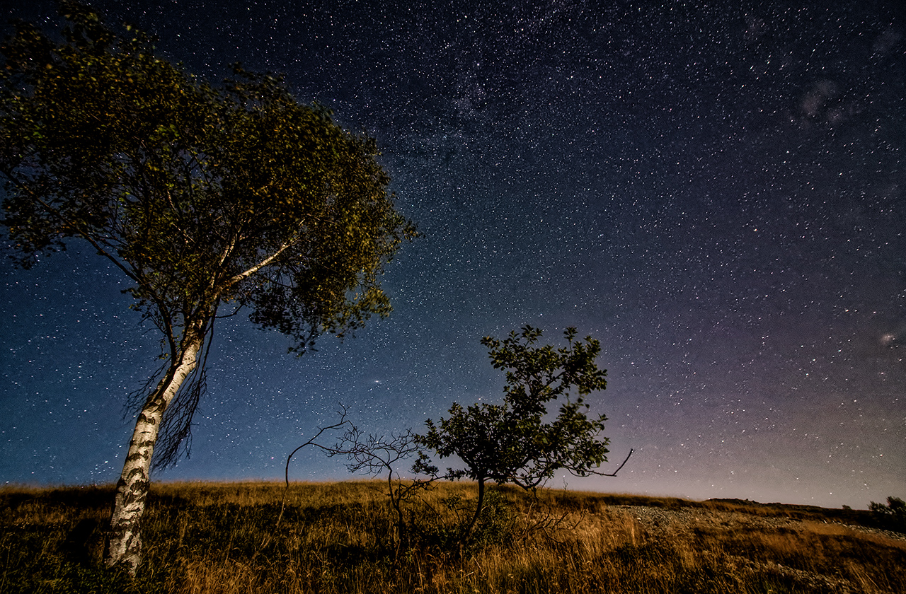 The Night of the Stars