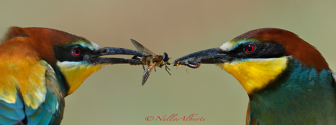 Double catch! clipping