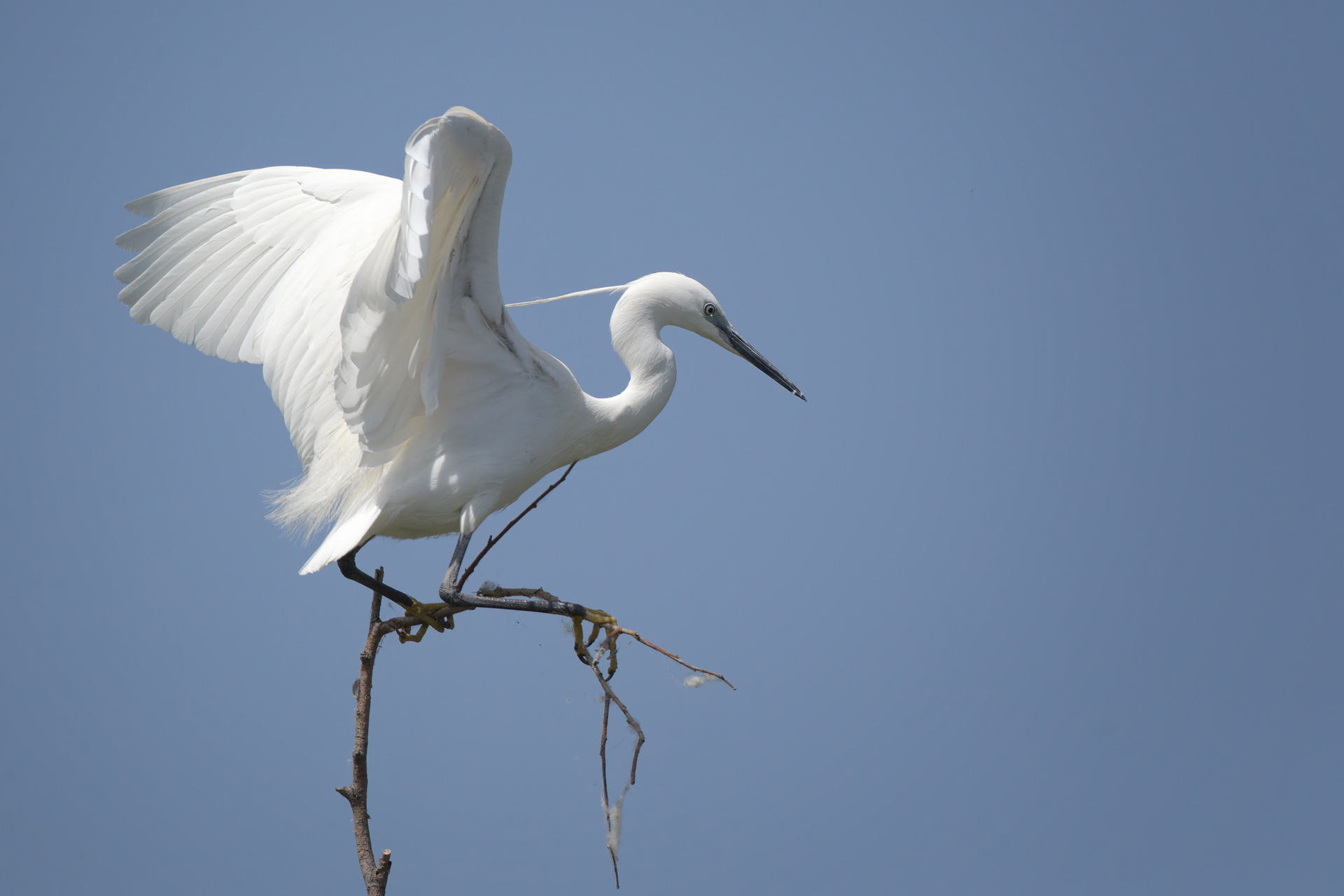 Equilibrio instabile