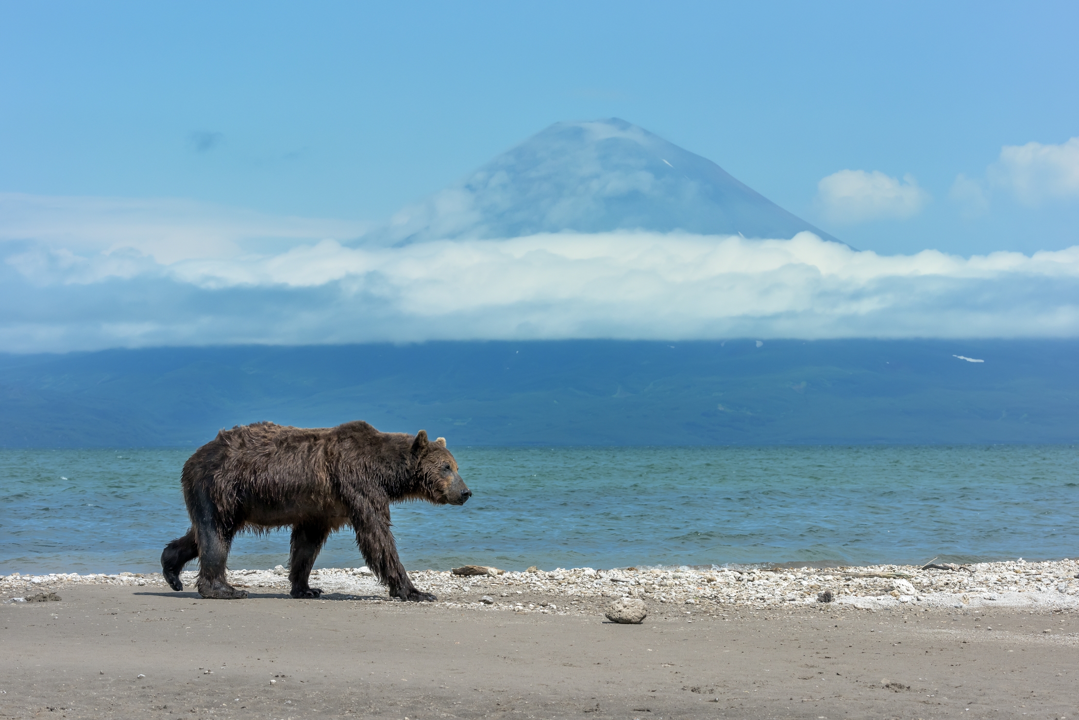 Kamchatka 2016 - Sul lago e con il vulcano