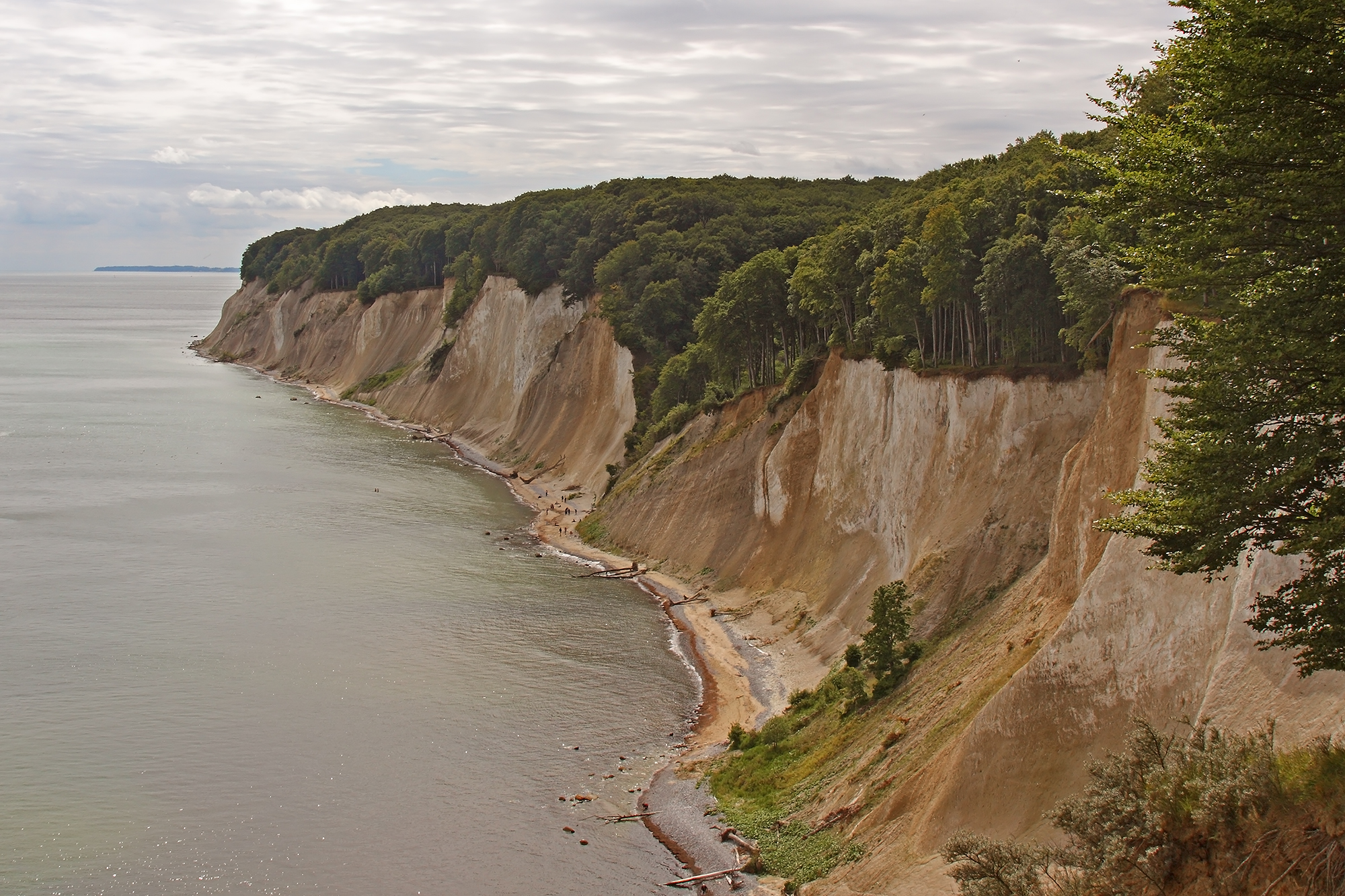 le belle scogliere di gesso di rugen