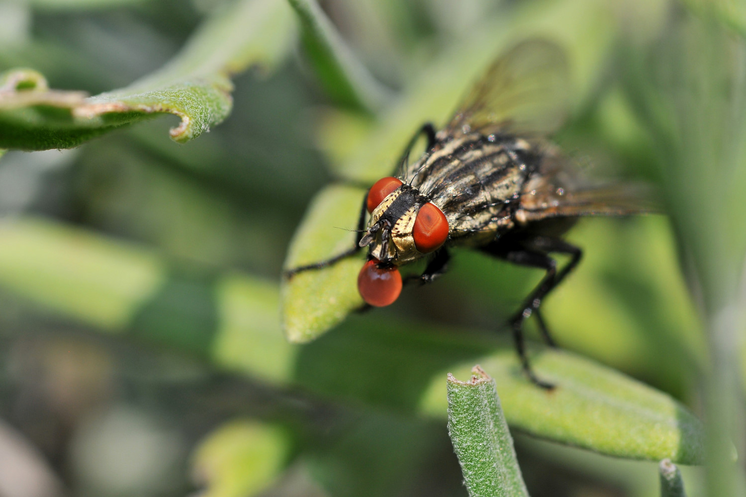 Moscow. Curiously ....