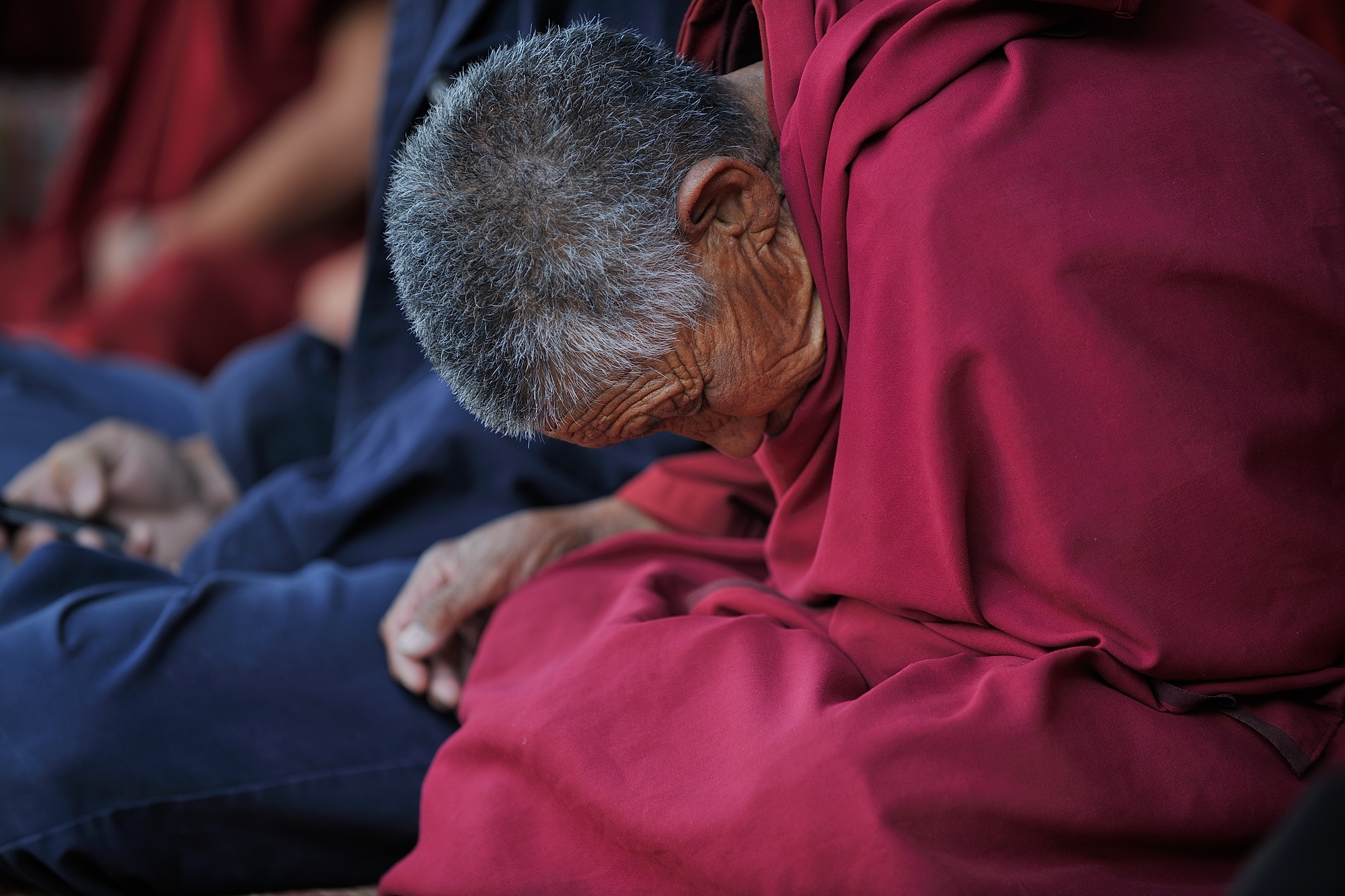 Ladakh Phyang festival (Gaon Tsedrup)